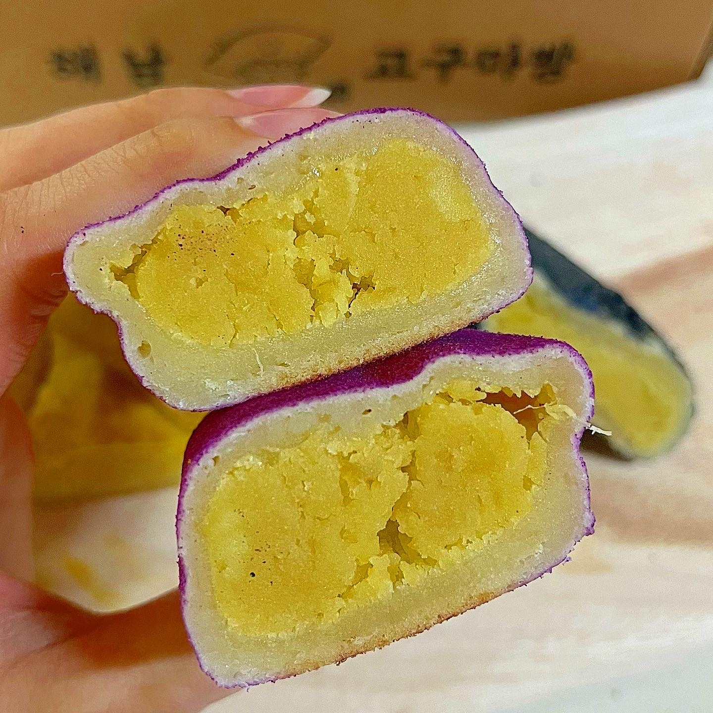 담담 사진 5