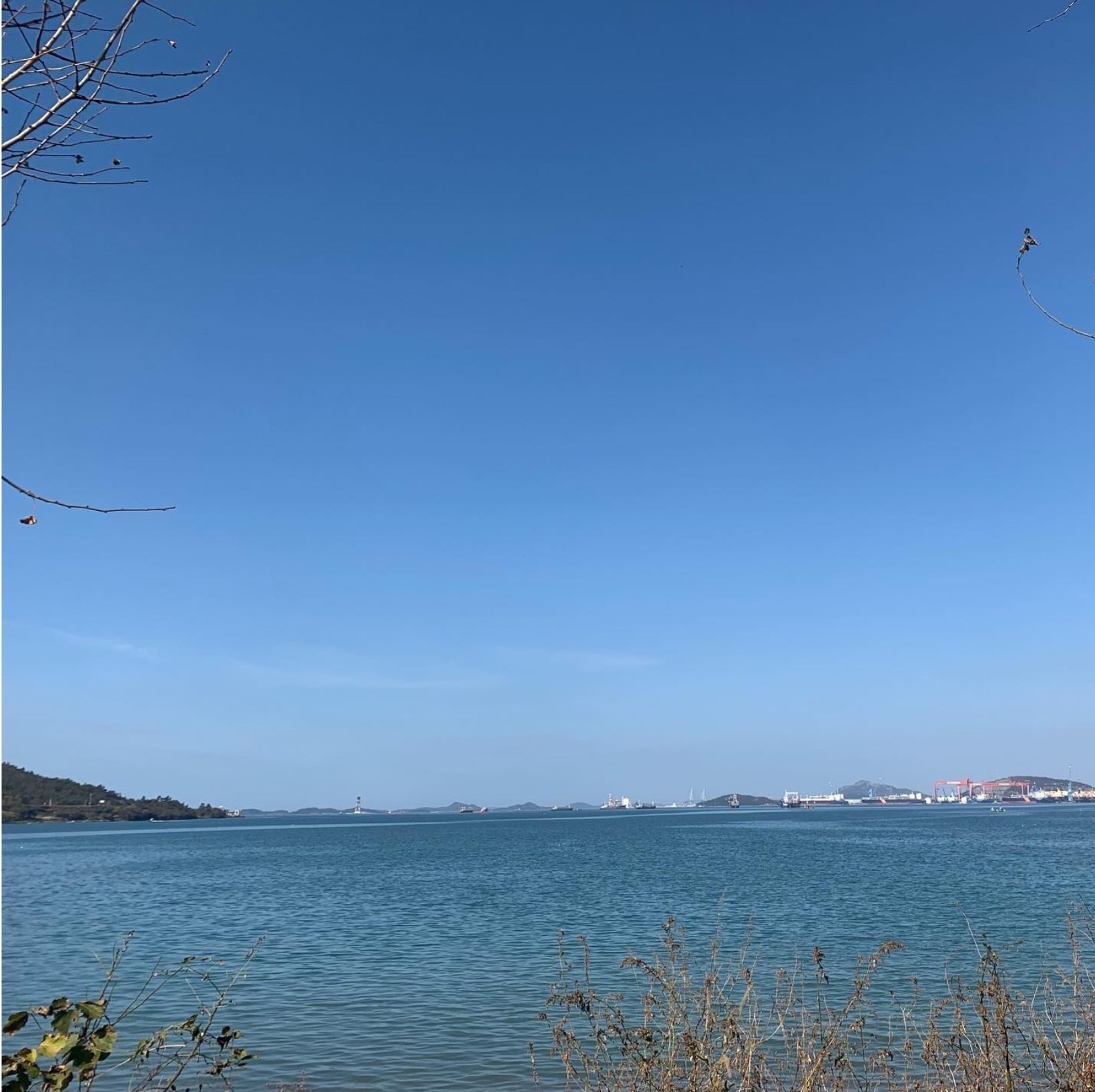 신창손순대국밥 해남본점 사진 5
