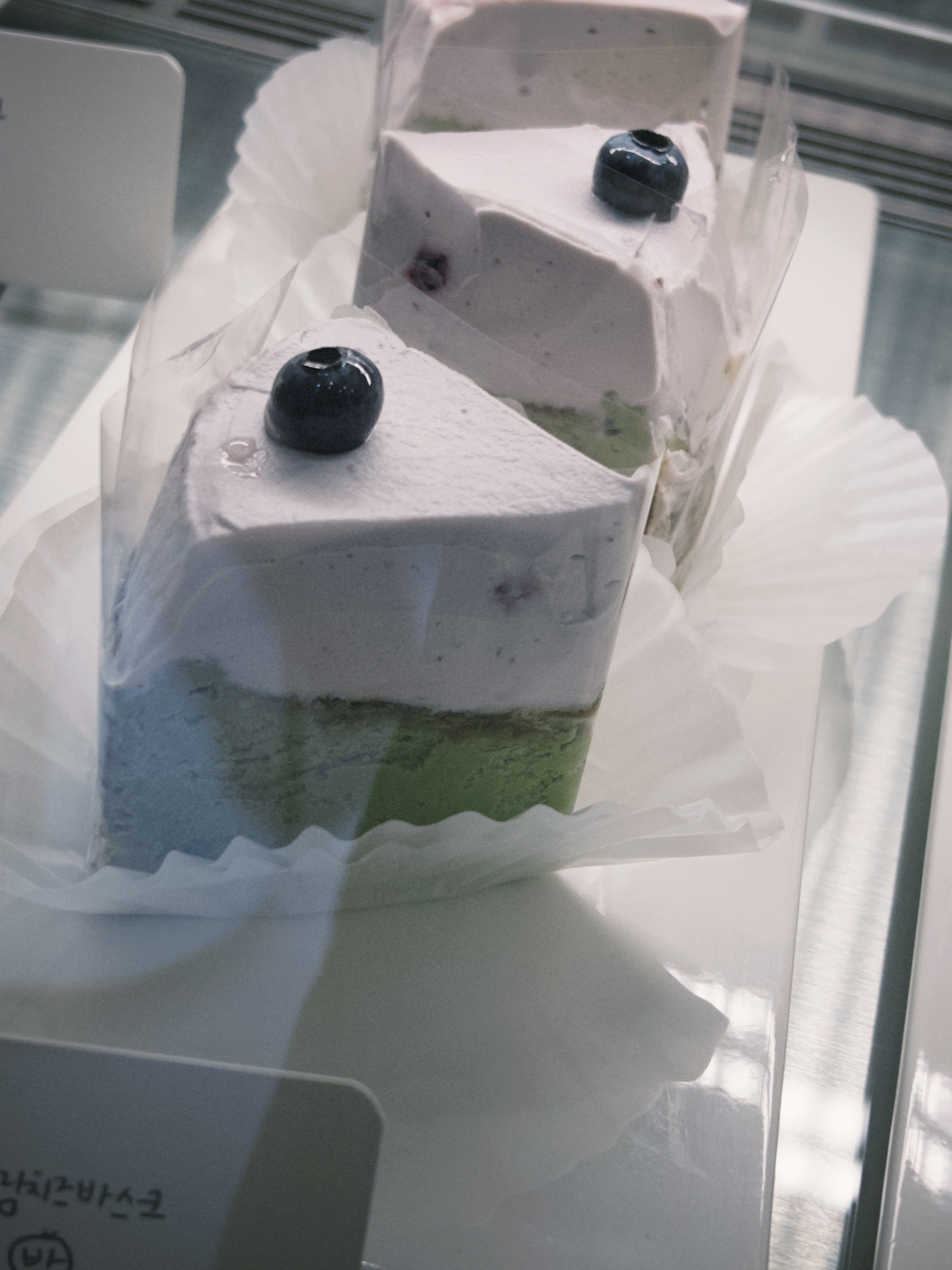 코타 사진 7