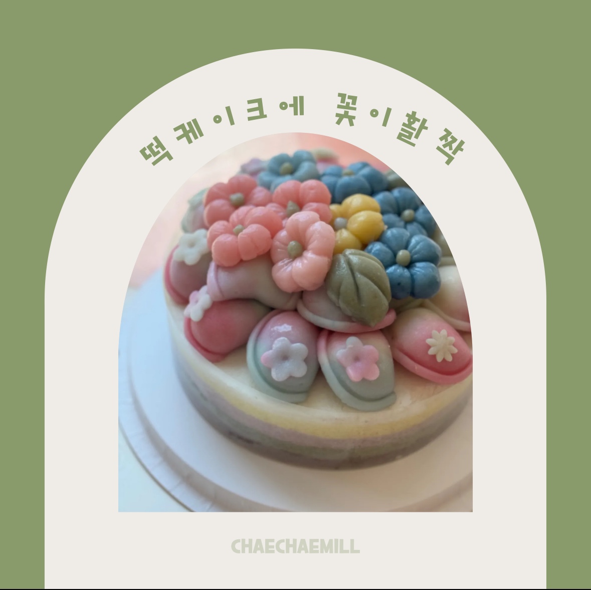 채채밀 사진 6