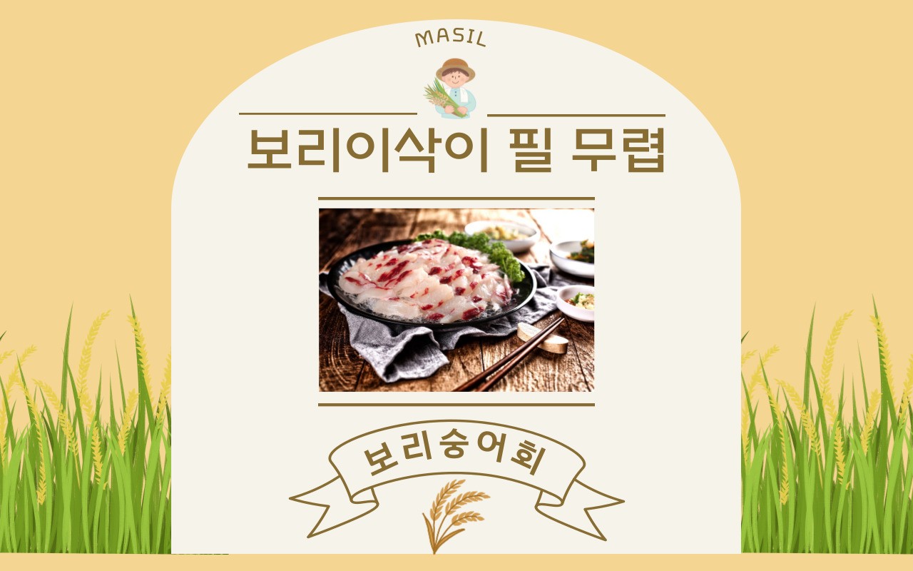 Masil (마실) 2