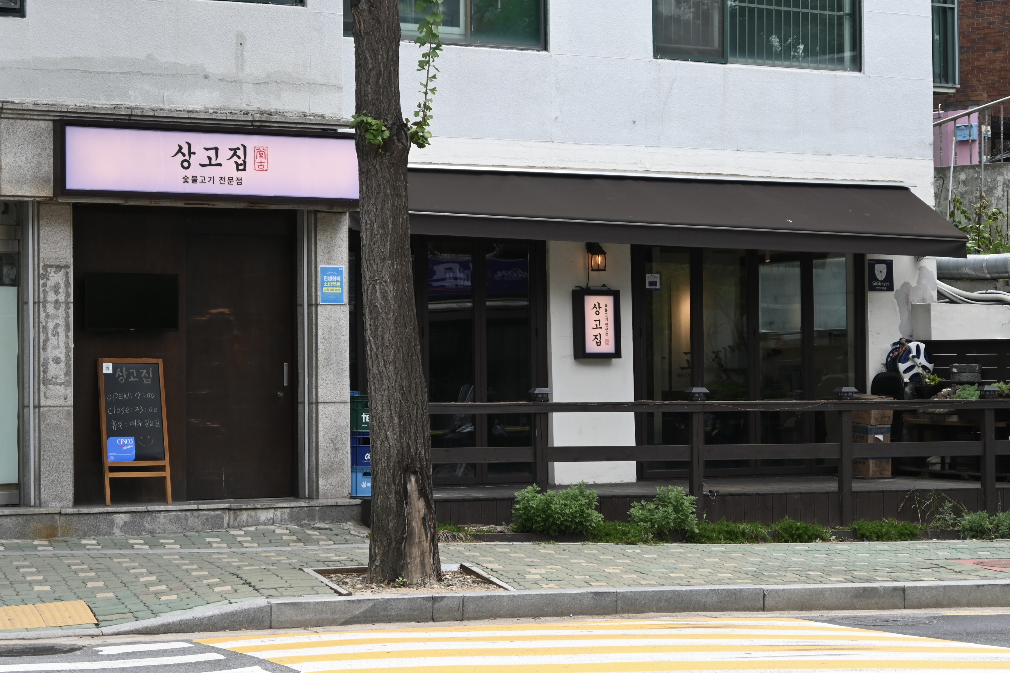 상고집 사진 8