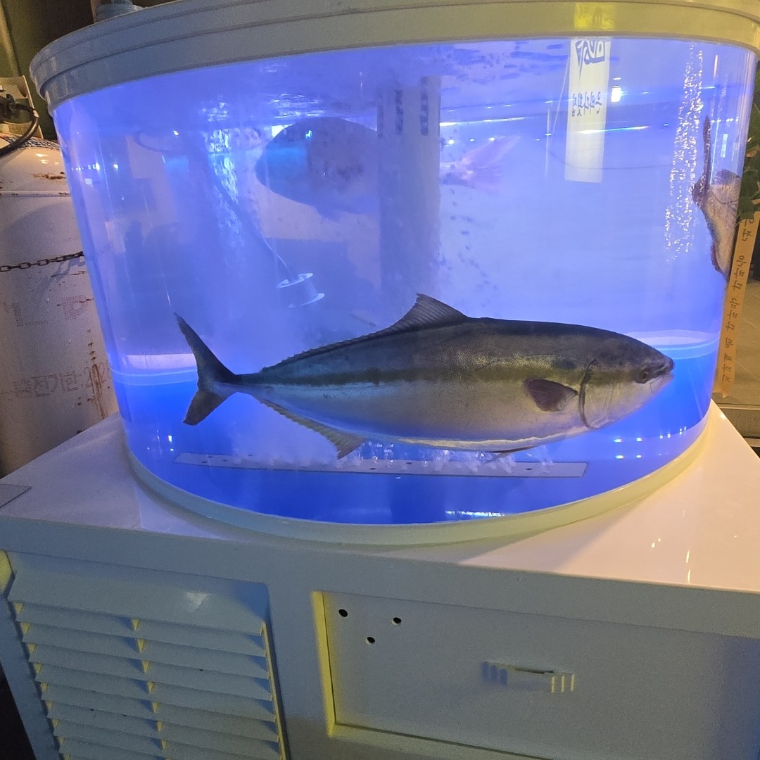 은바다횟집 사진 3