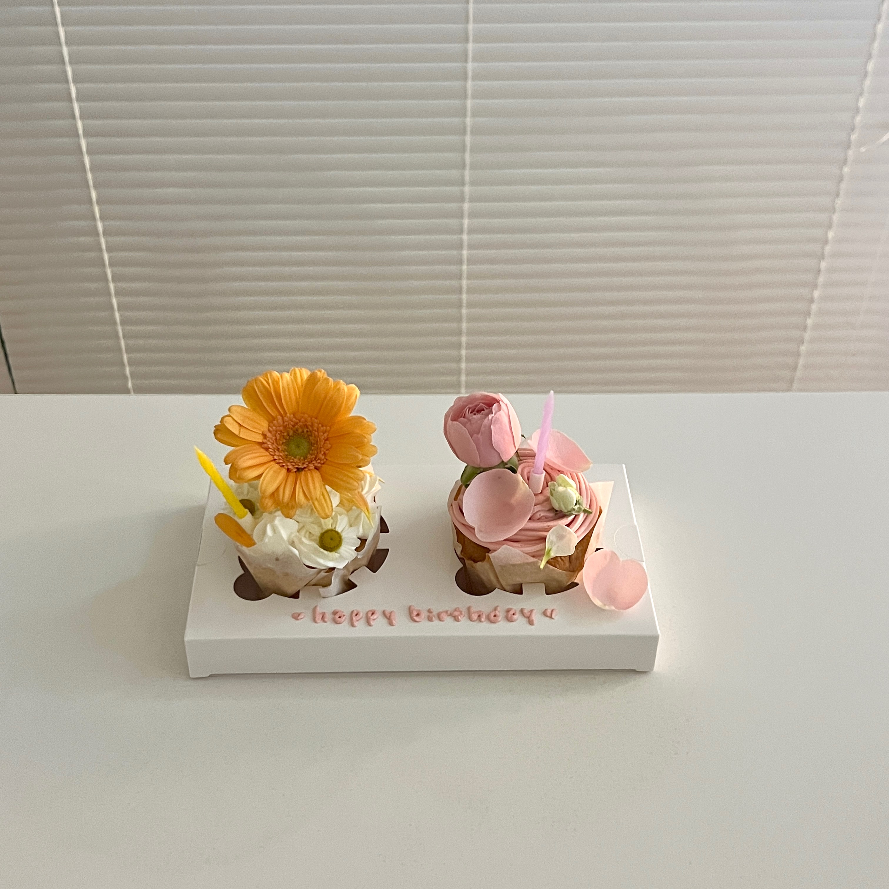 코시 사진 5
