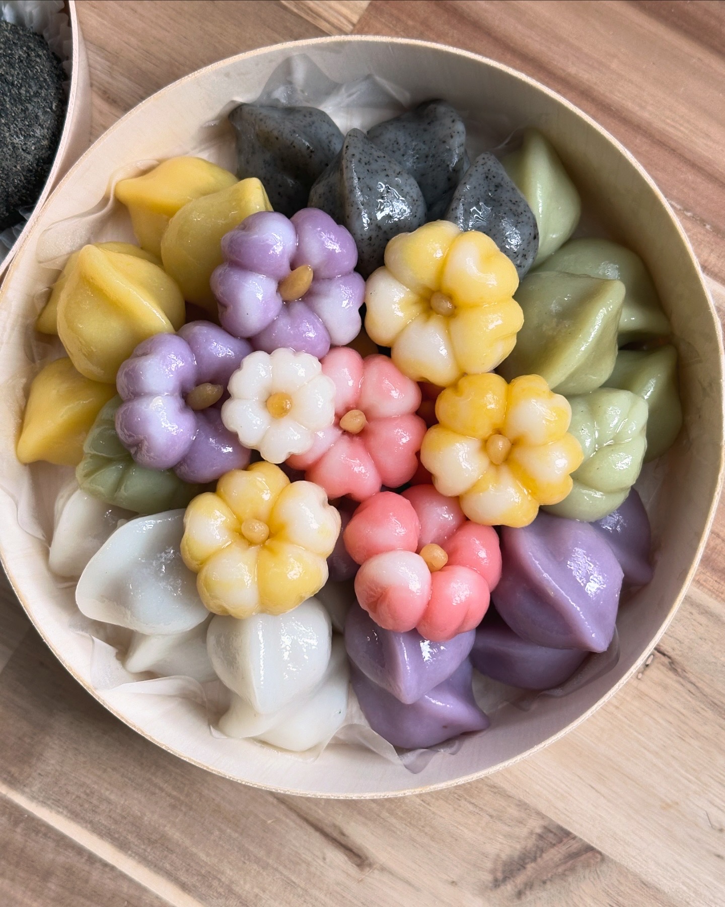 초루 사진 4