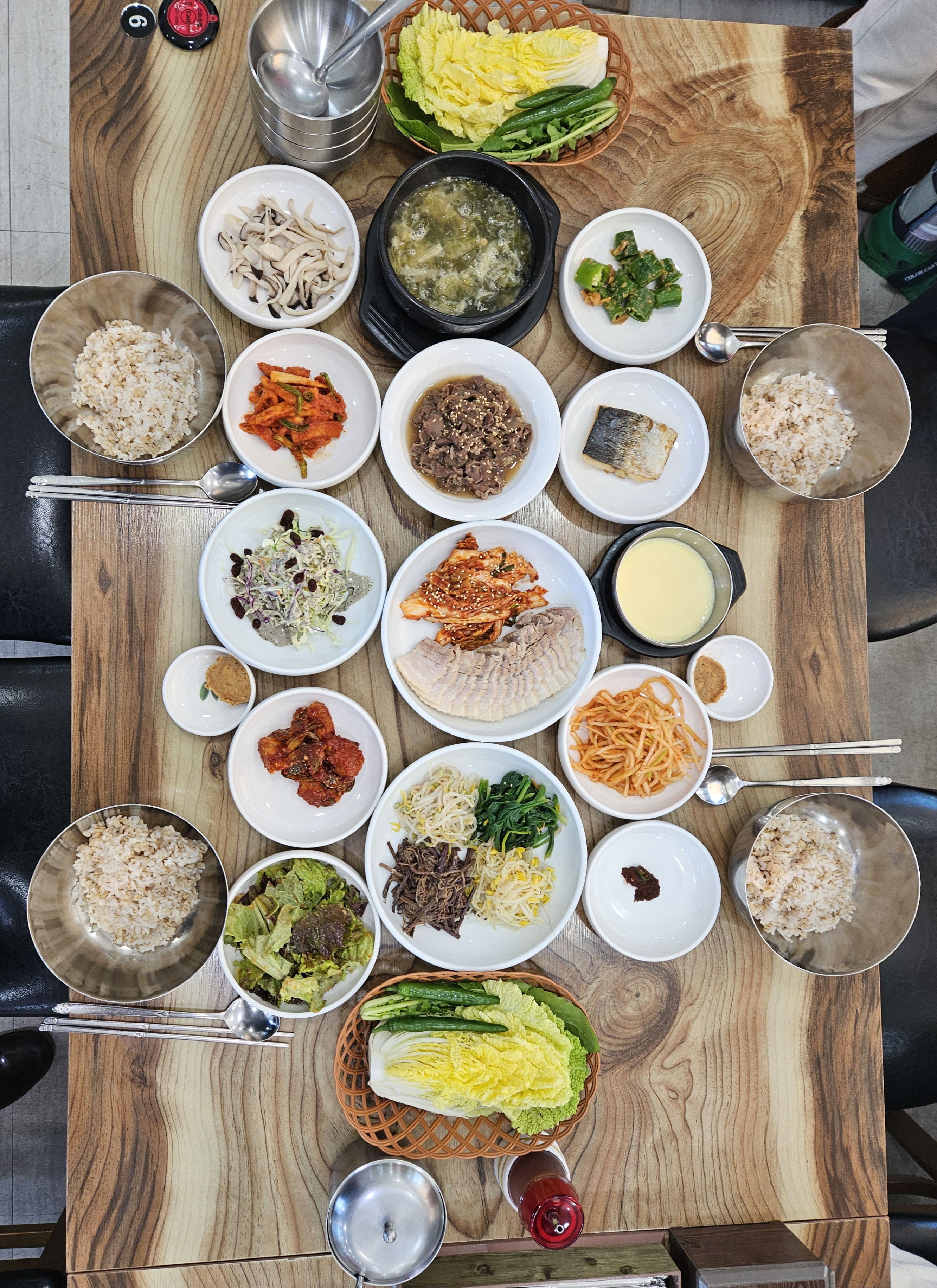 벽오동 1