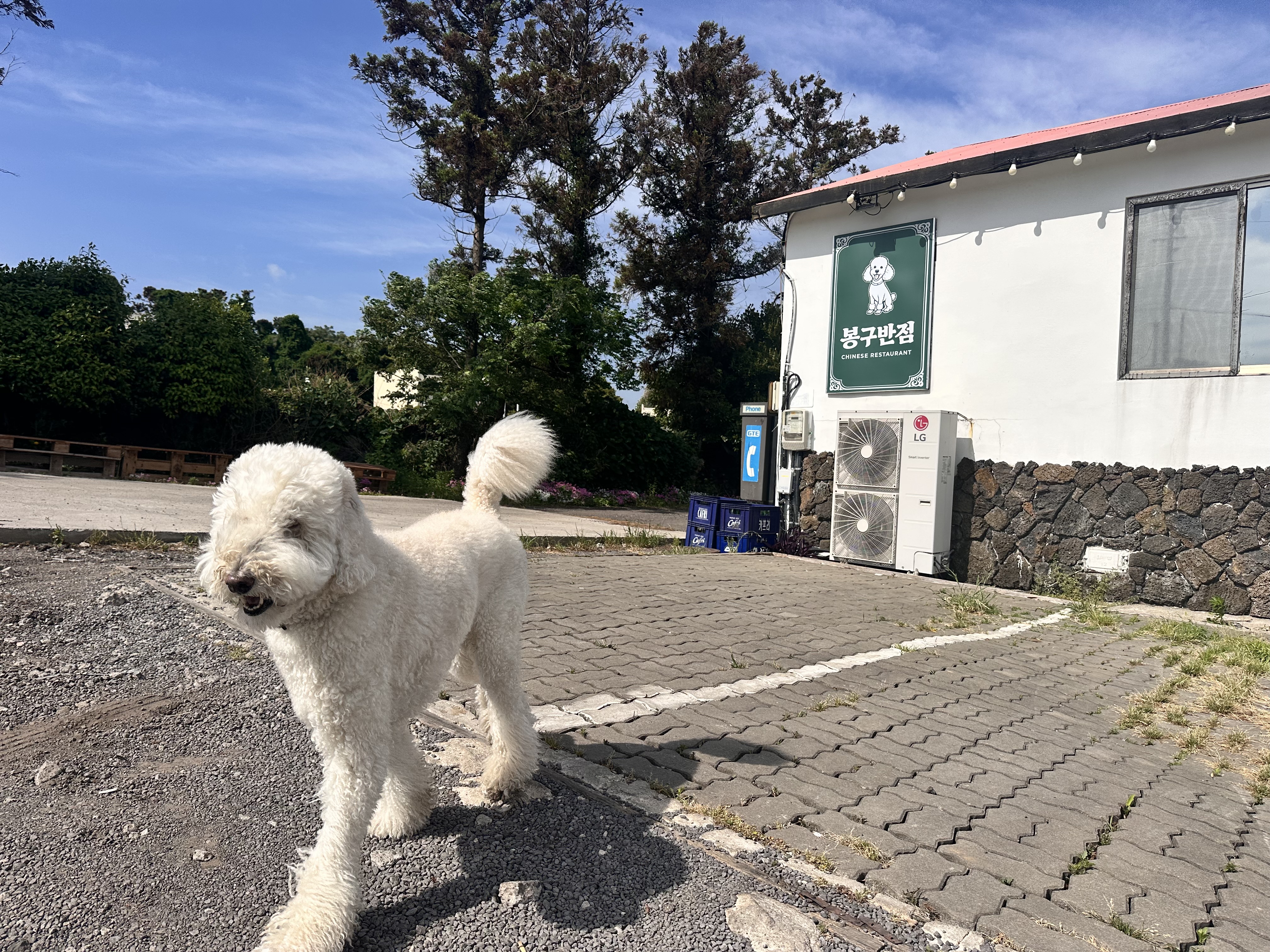 봉구반점 사진 6