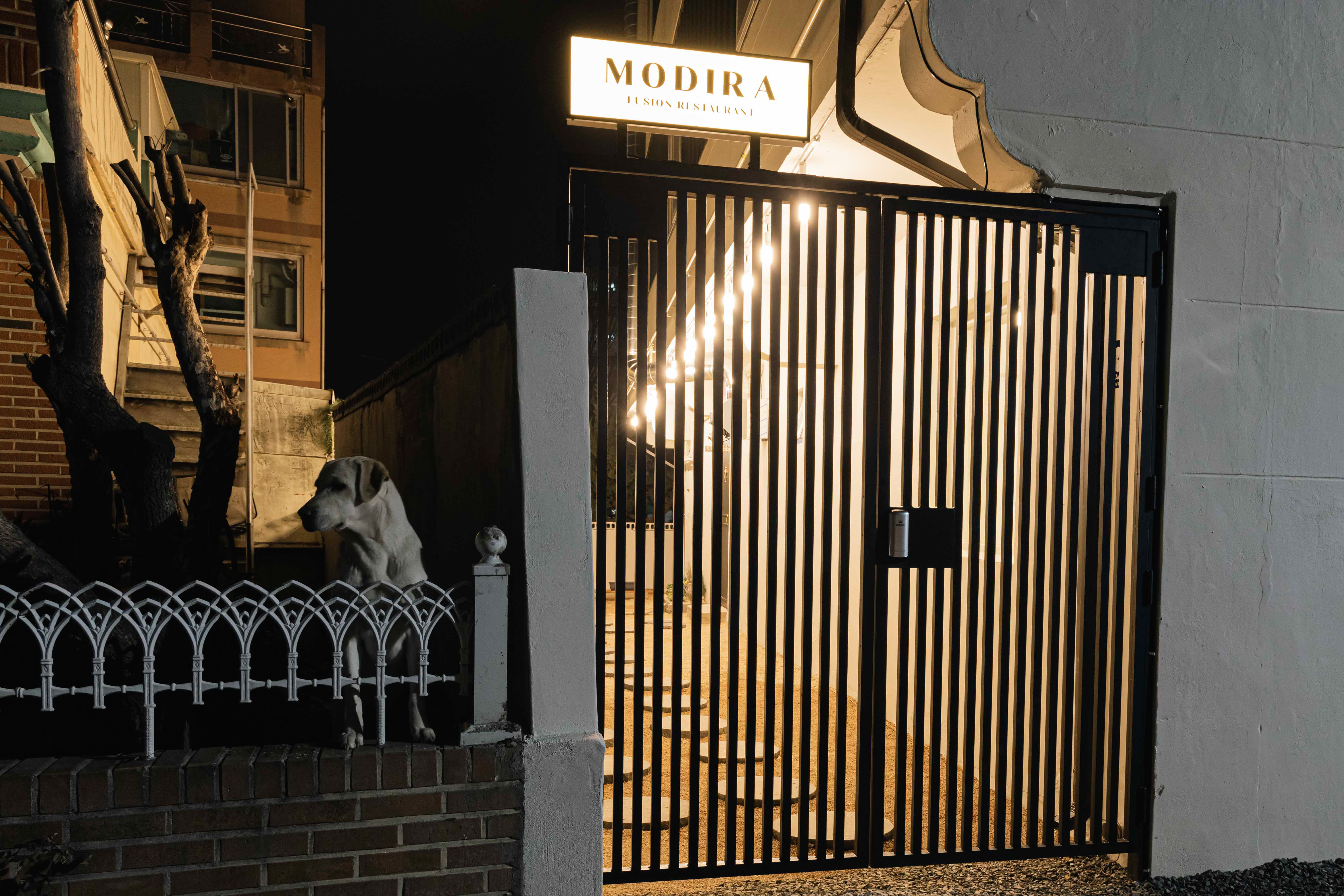 Modira 4