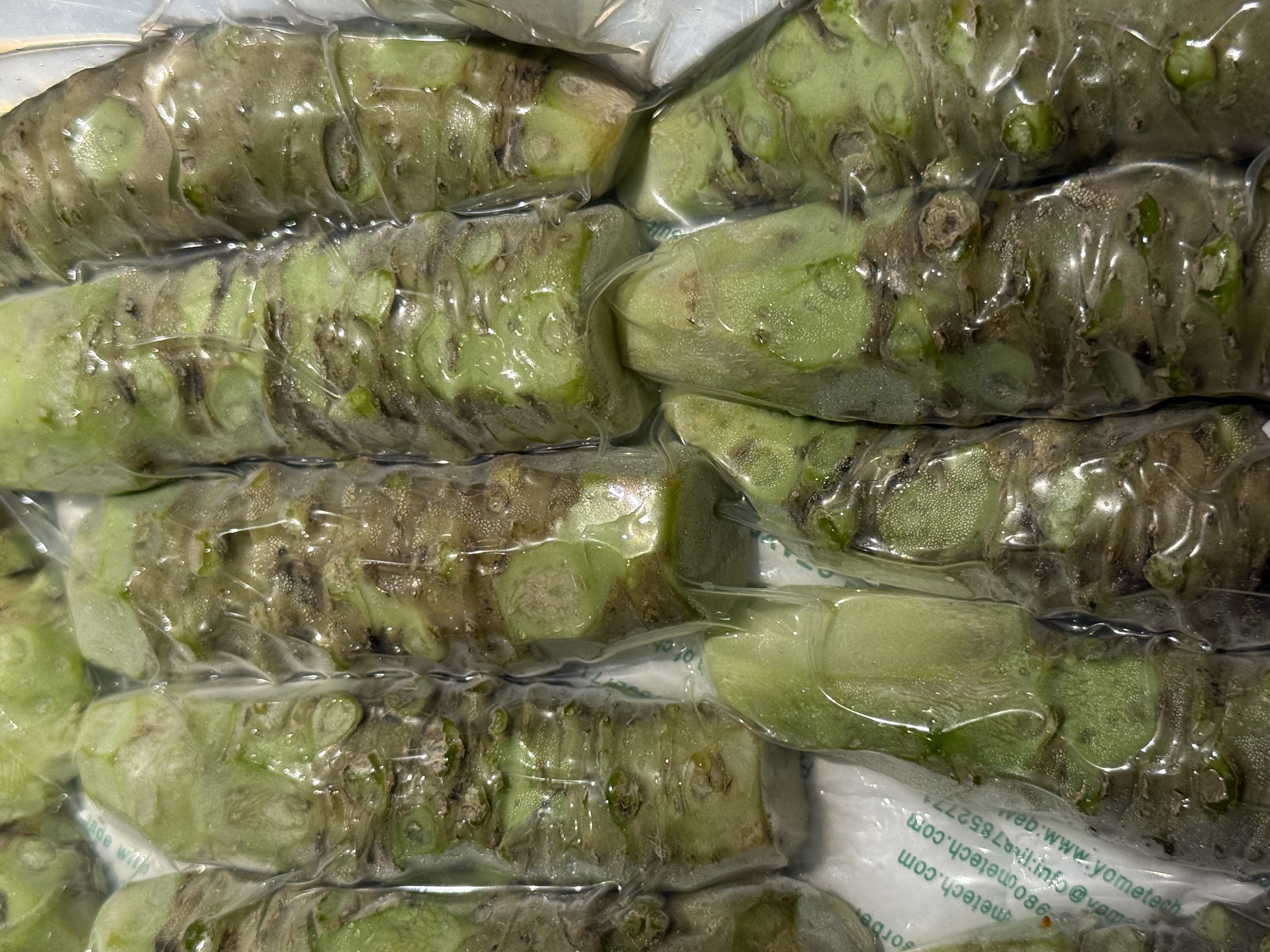 진영수산 사진 8