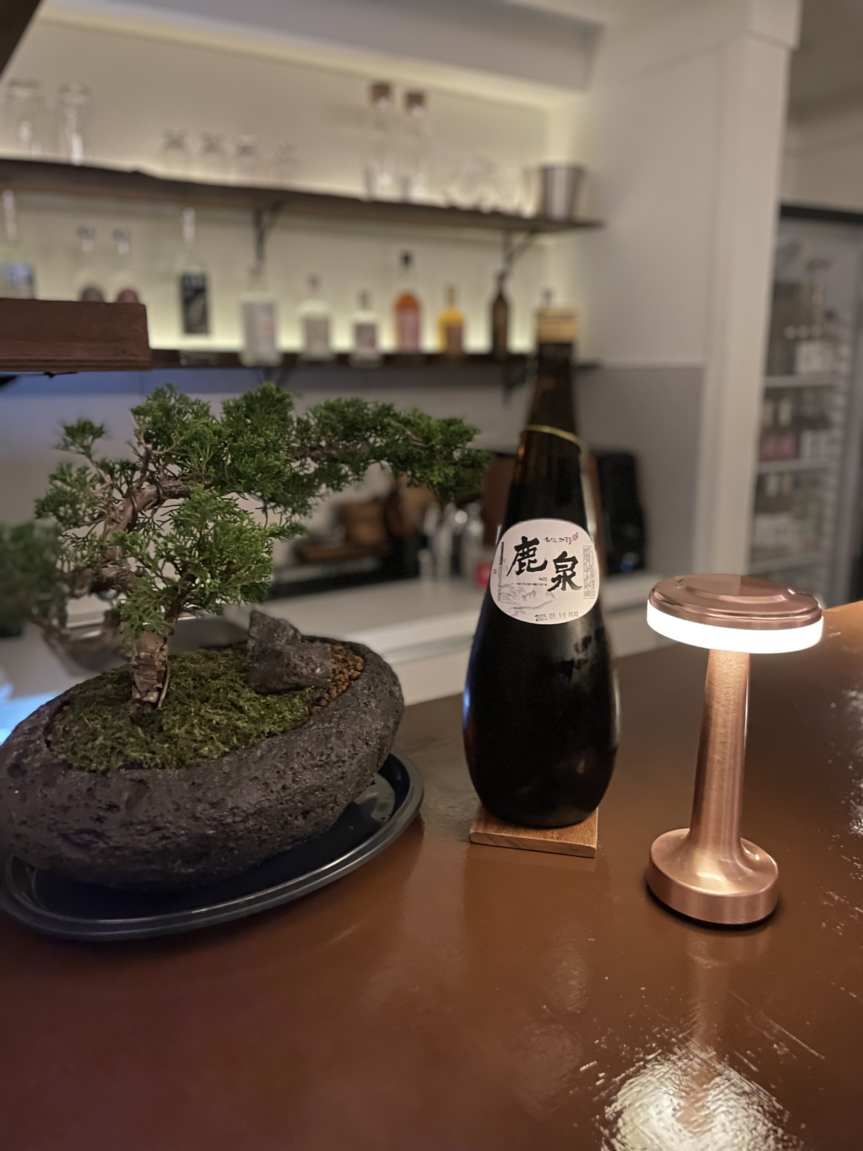 사우스 한량 클럽 사진 2