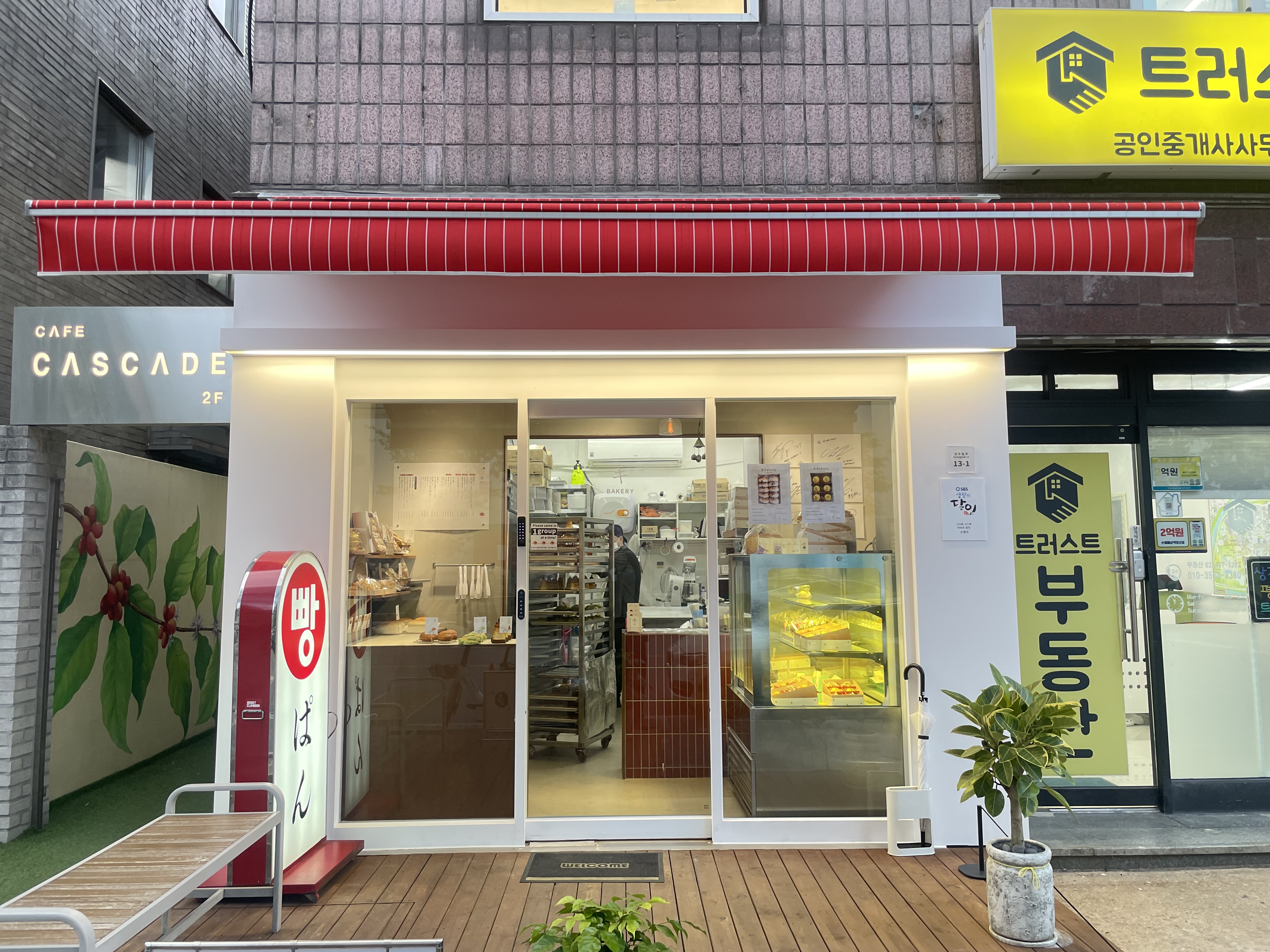 Kibeikeori 1