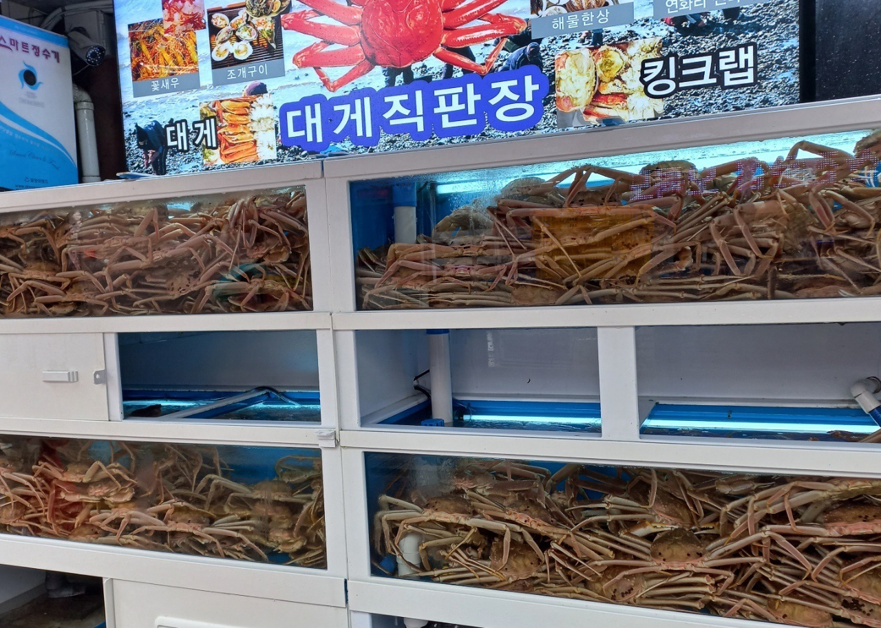 연화리대게 대표 사진