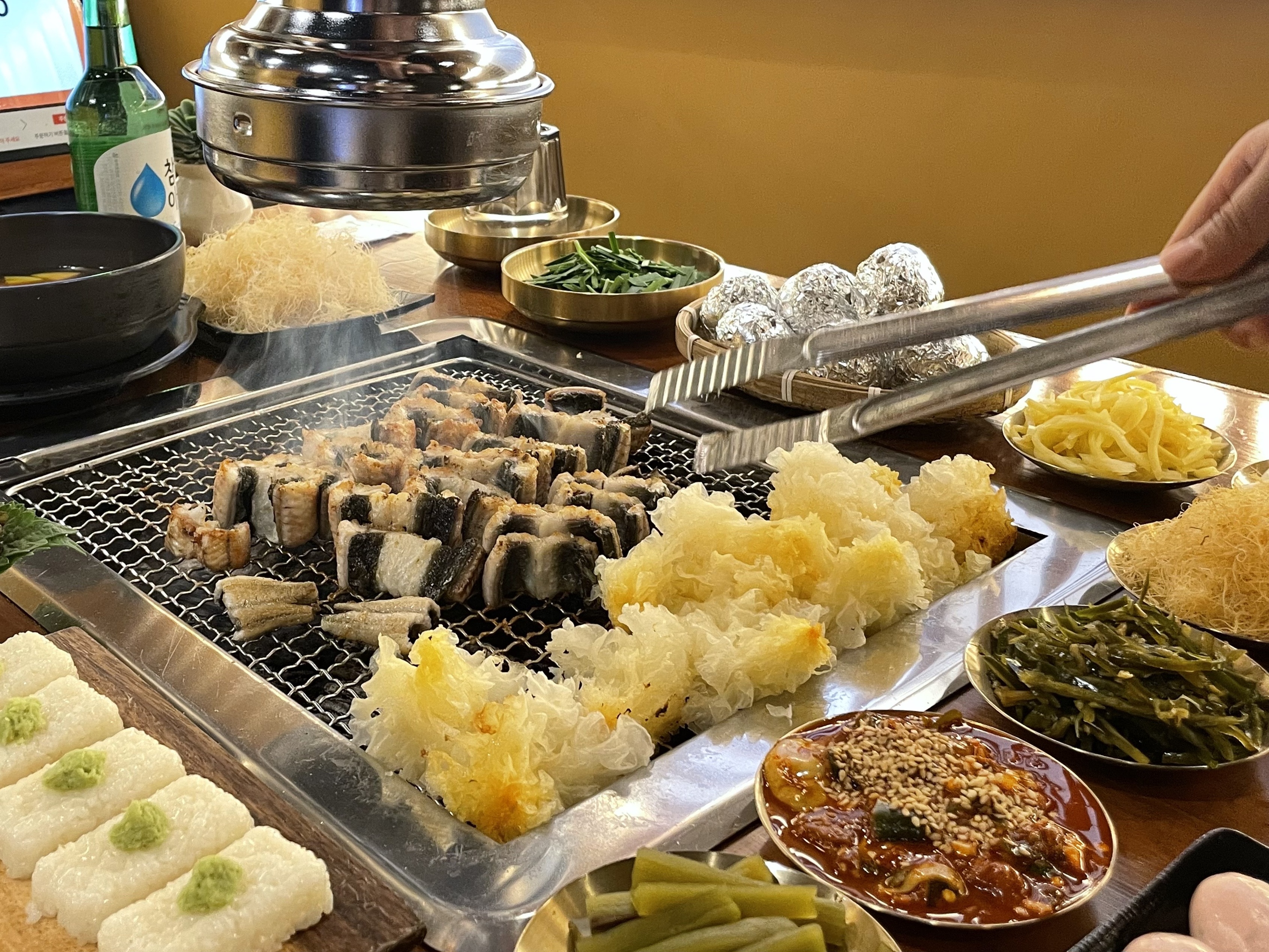 천상애장어가 5