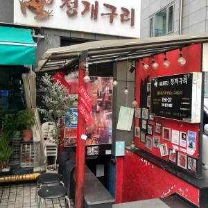청개구리 사진 4