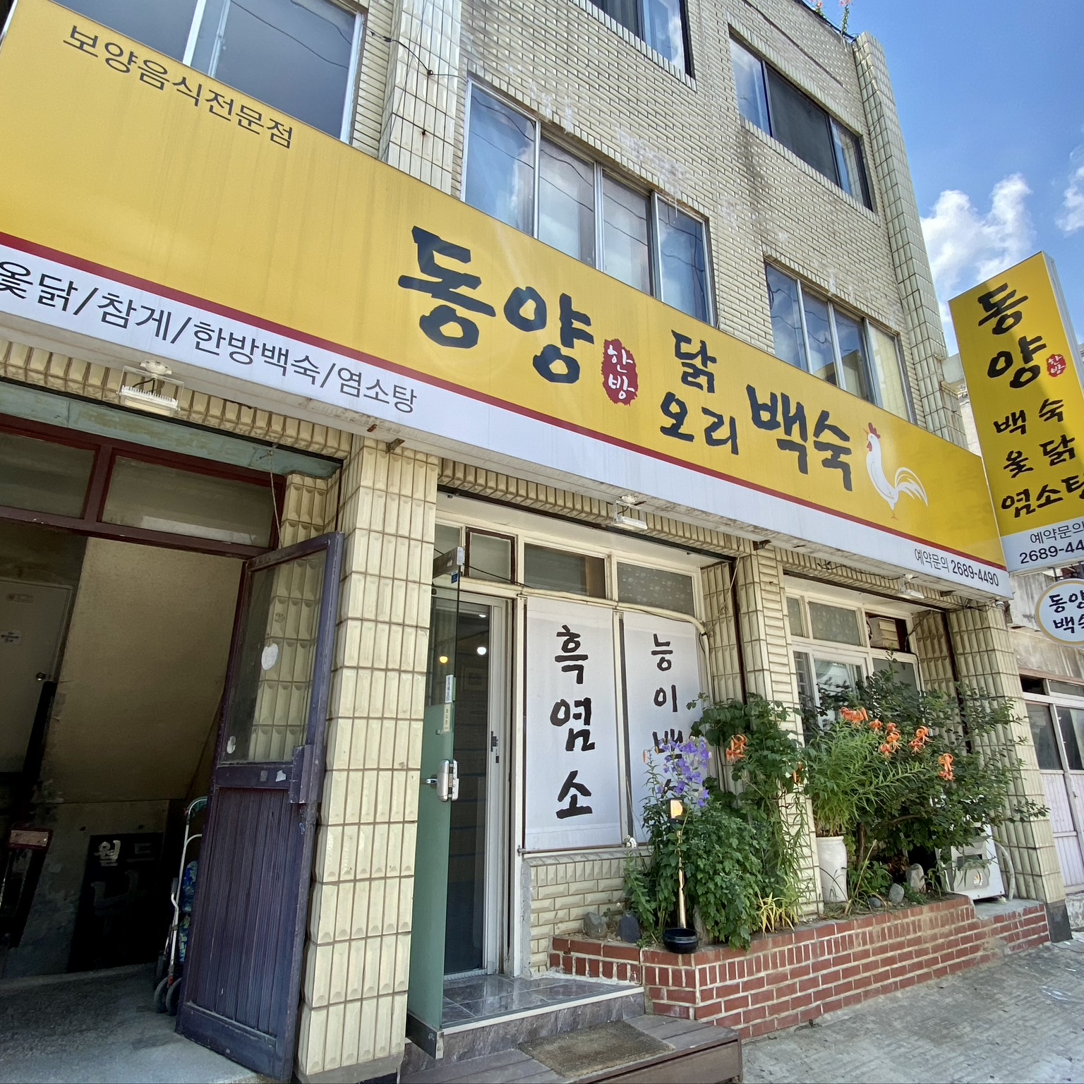 Dongyang (동양) 1