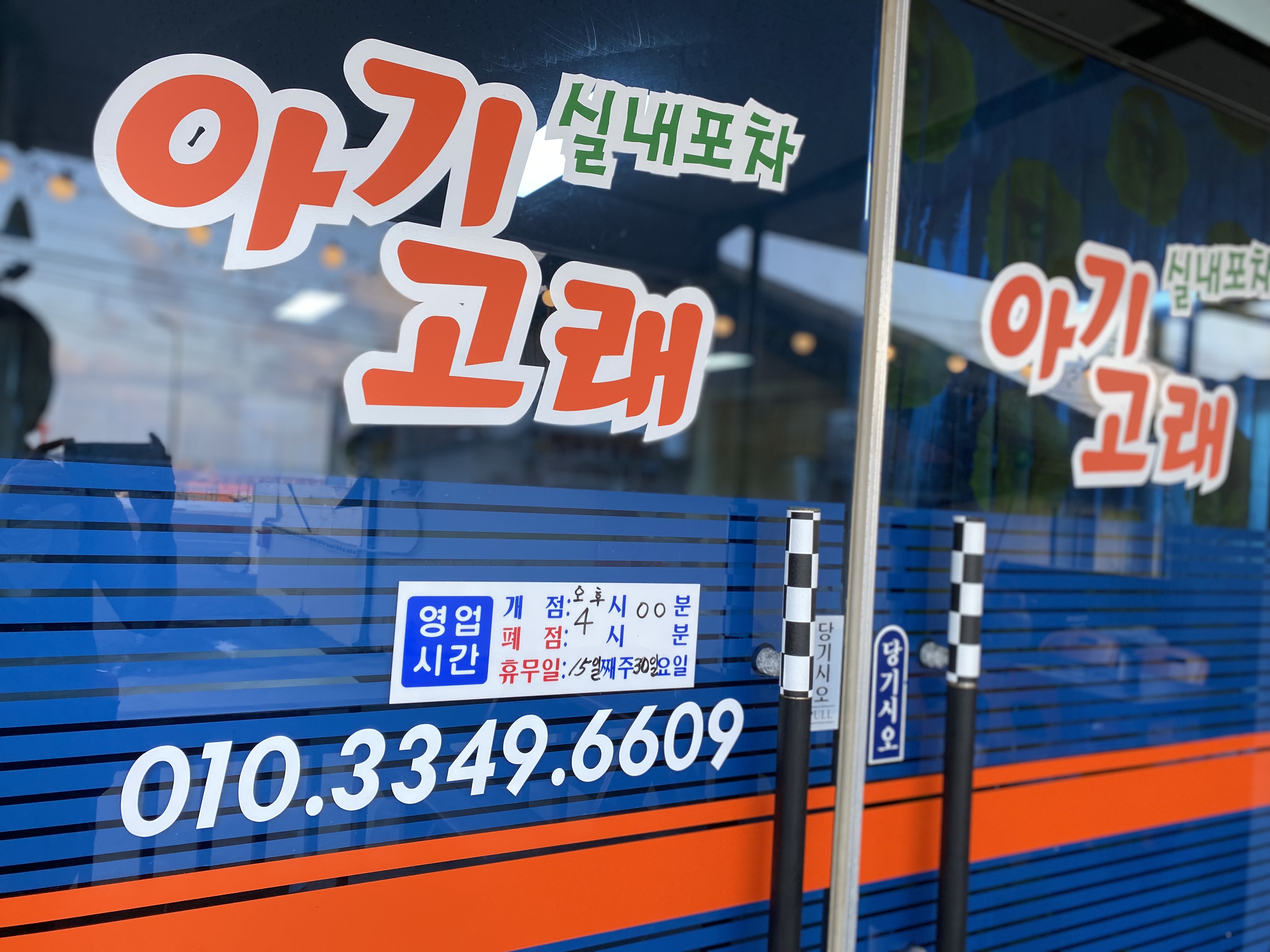 아기고래 사진 2