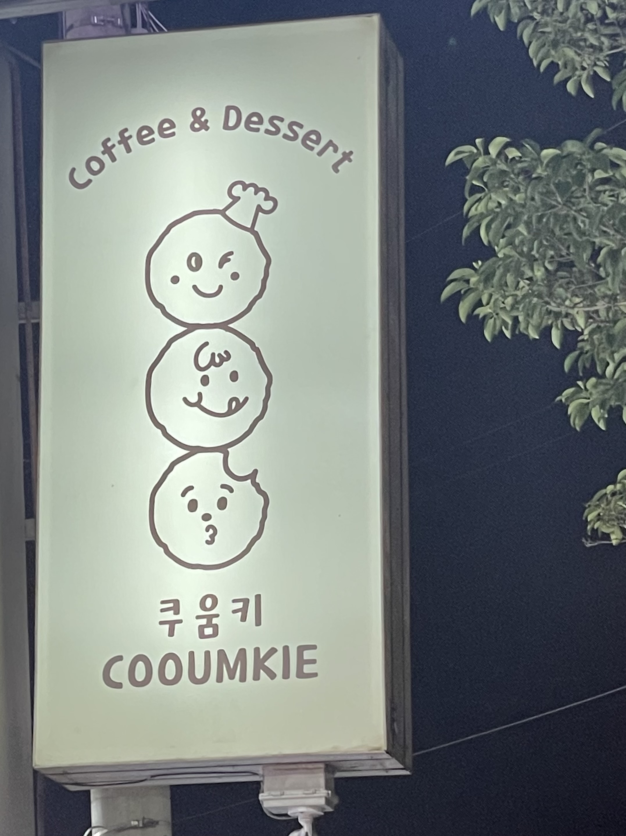 쿠움키 3