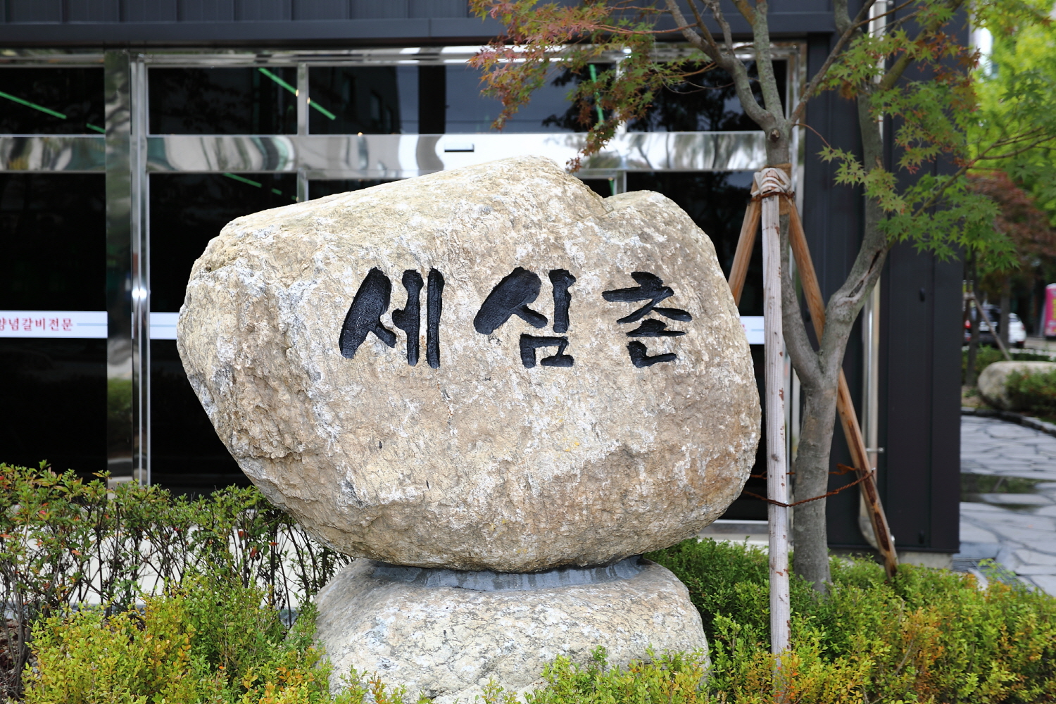 속초한우 세심촌 6