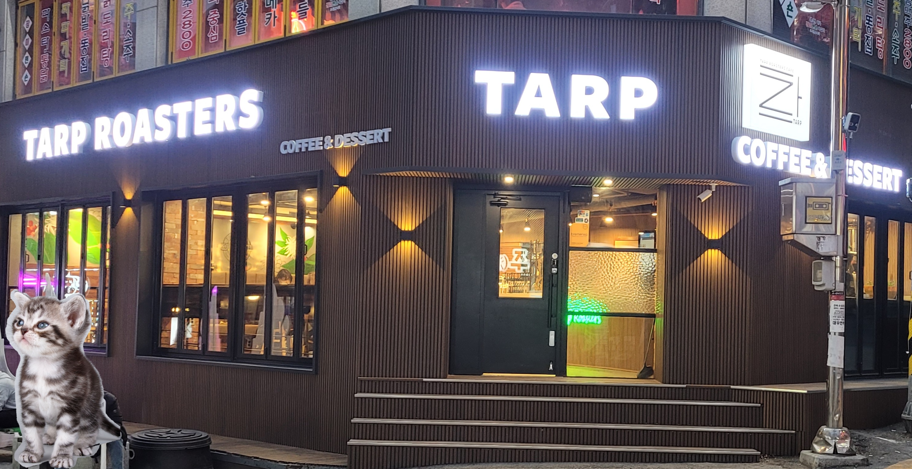 타프로스터스