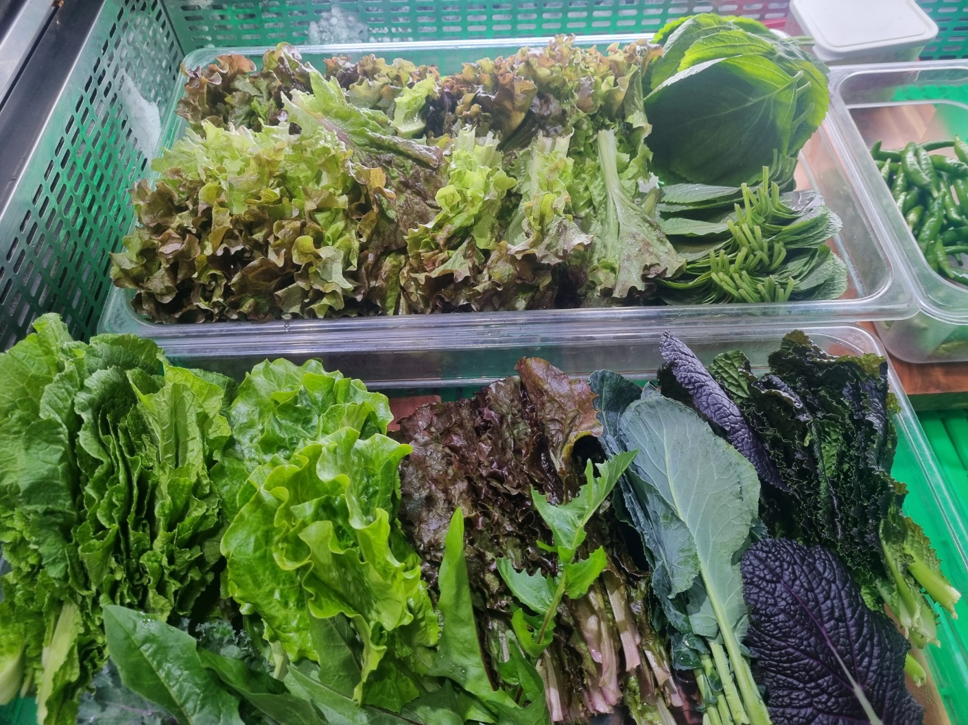 머슴고기 6