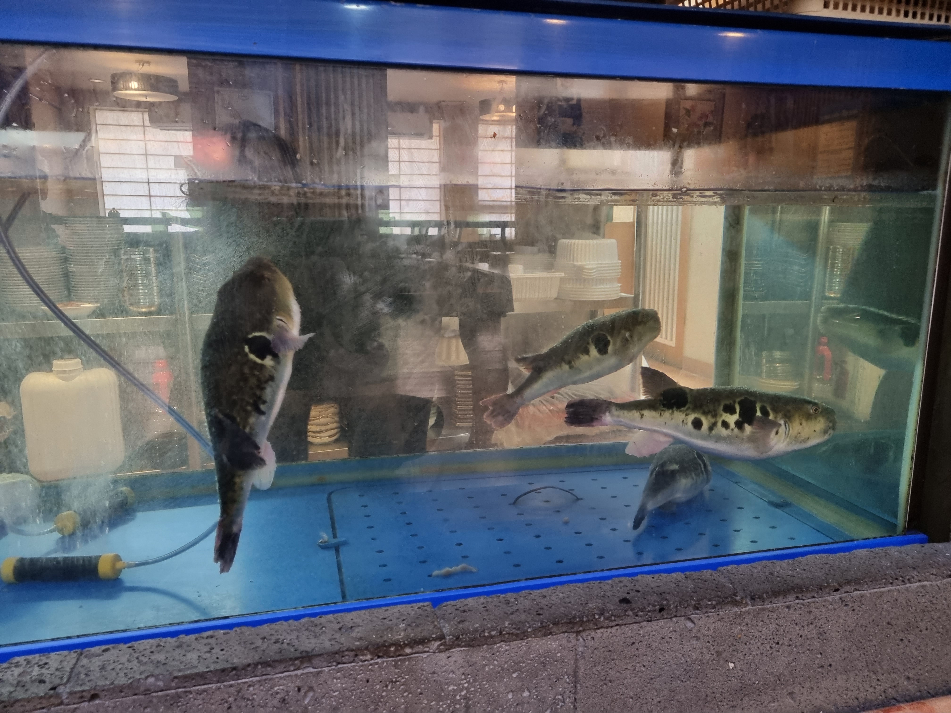 대복 1