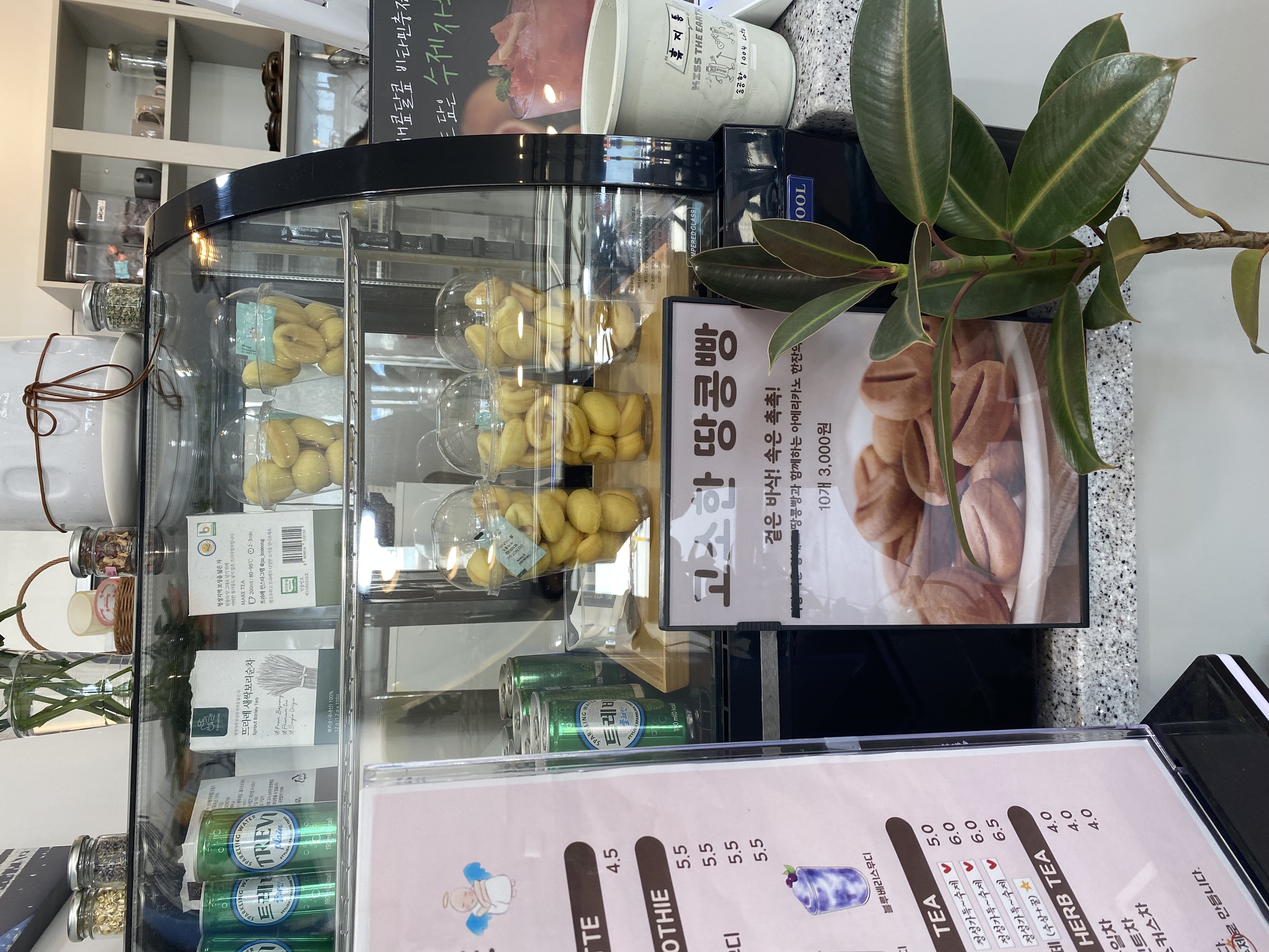 송공항1004카페 2