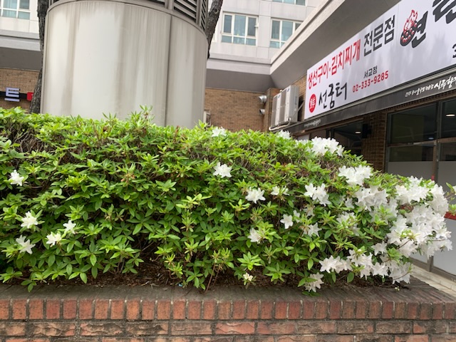 선굼터 서교점 사진 6