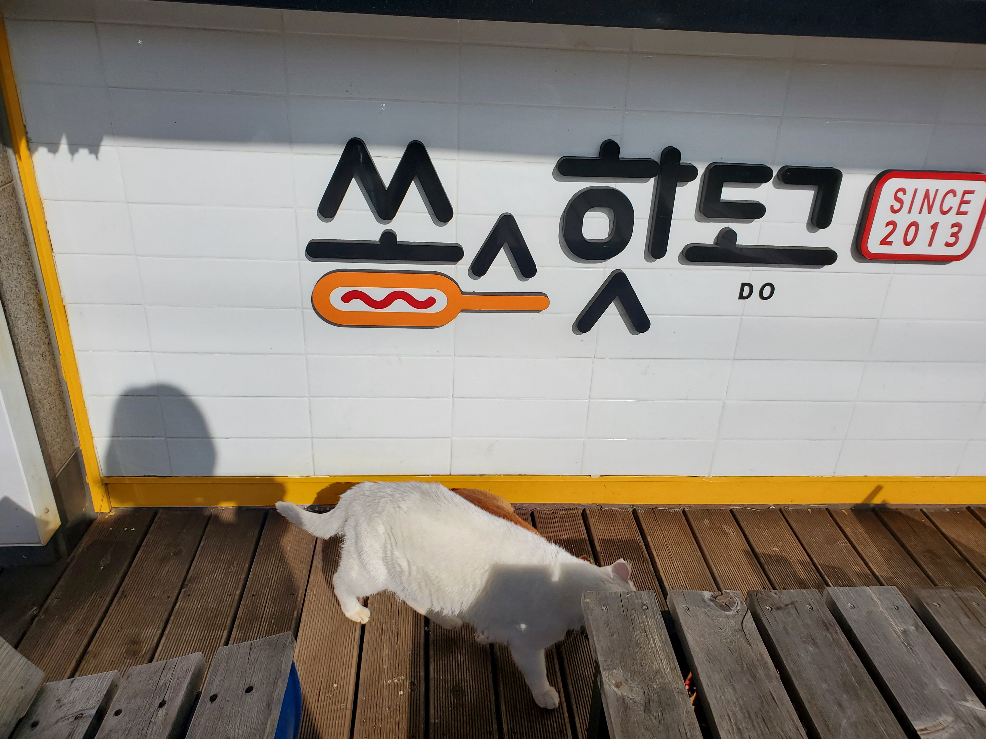 쏭스핫도그 제주대점 사진 8