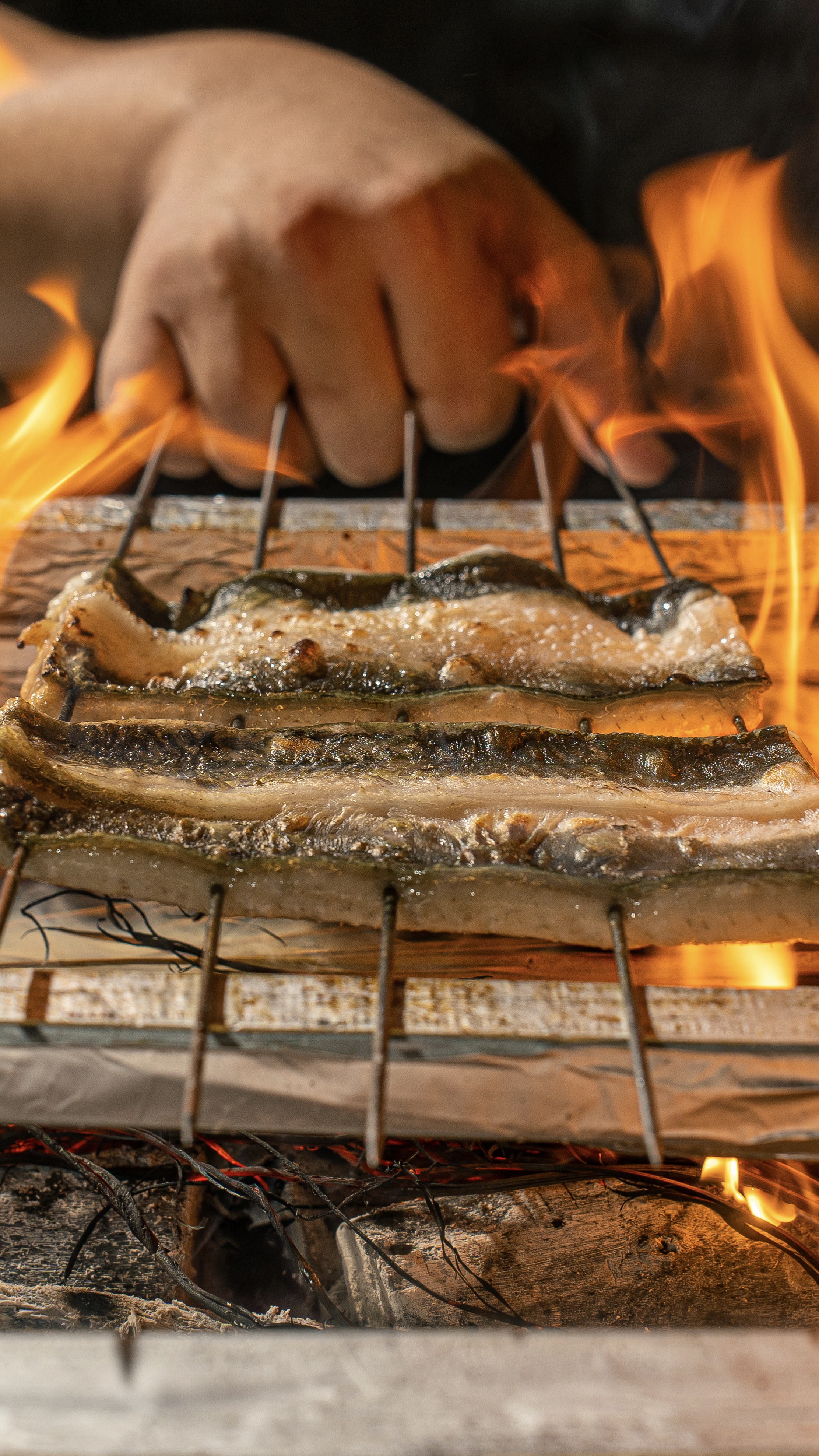 카야루 사진 5