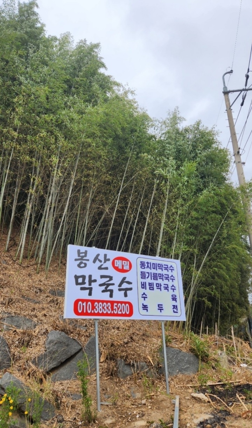 Bongsanmemilmakguksu 6