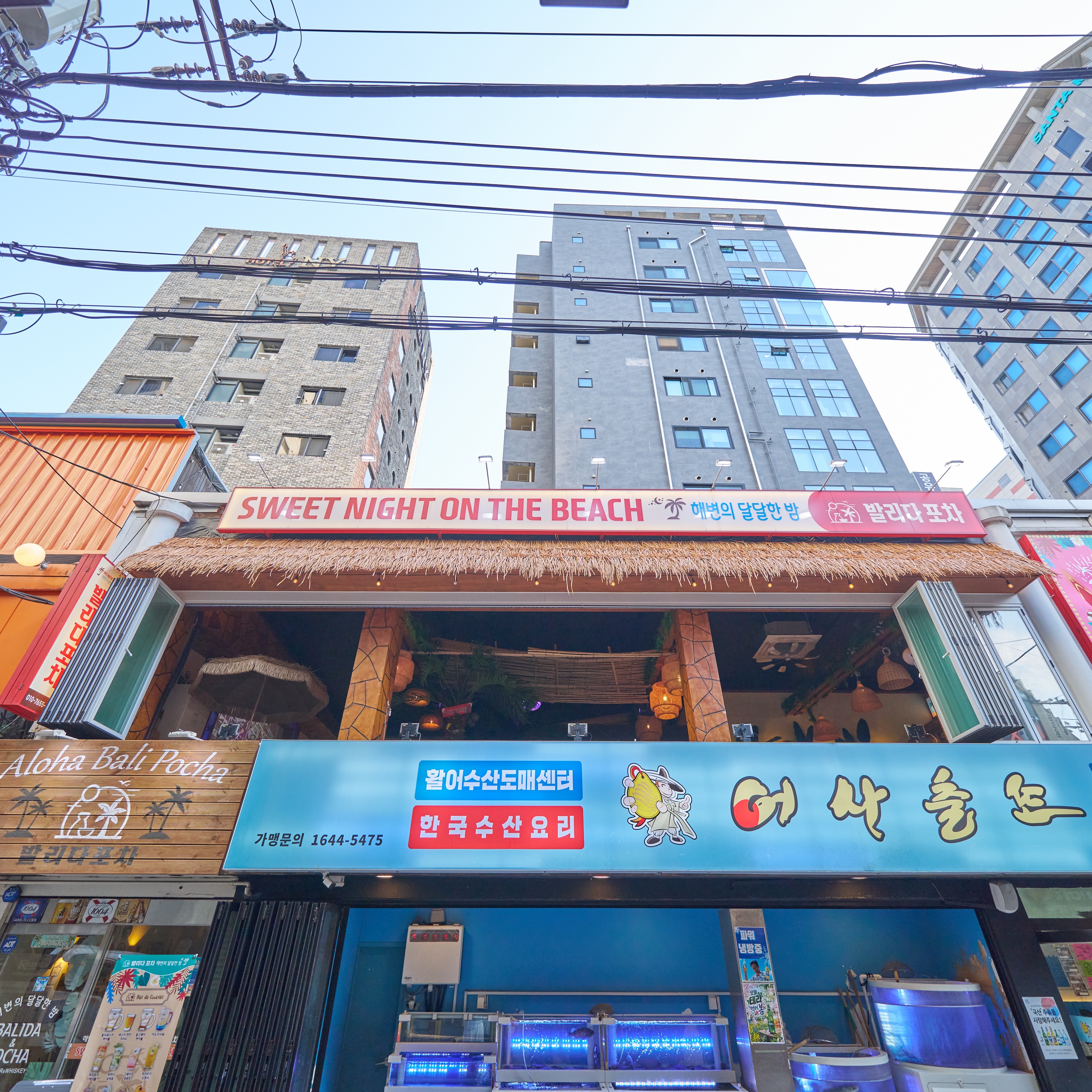 발리다포차 영등포점 사진 7