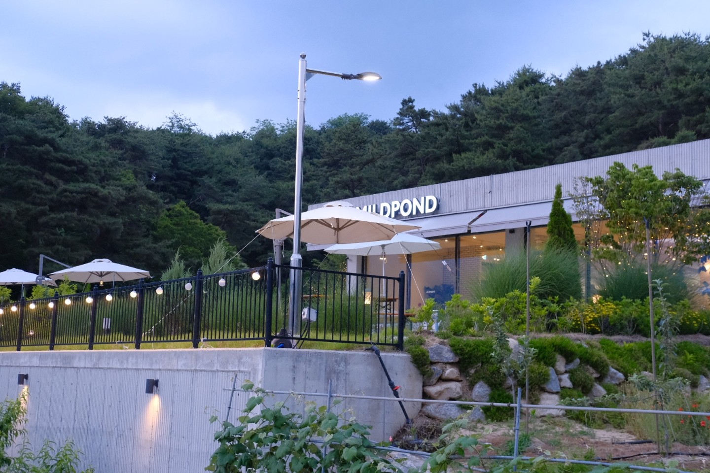 Maildeupondeu (마일드폰드) 2