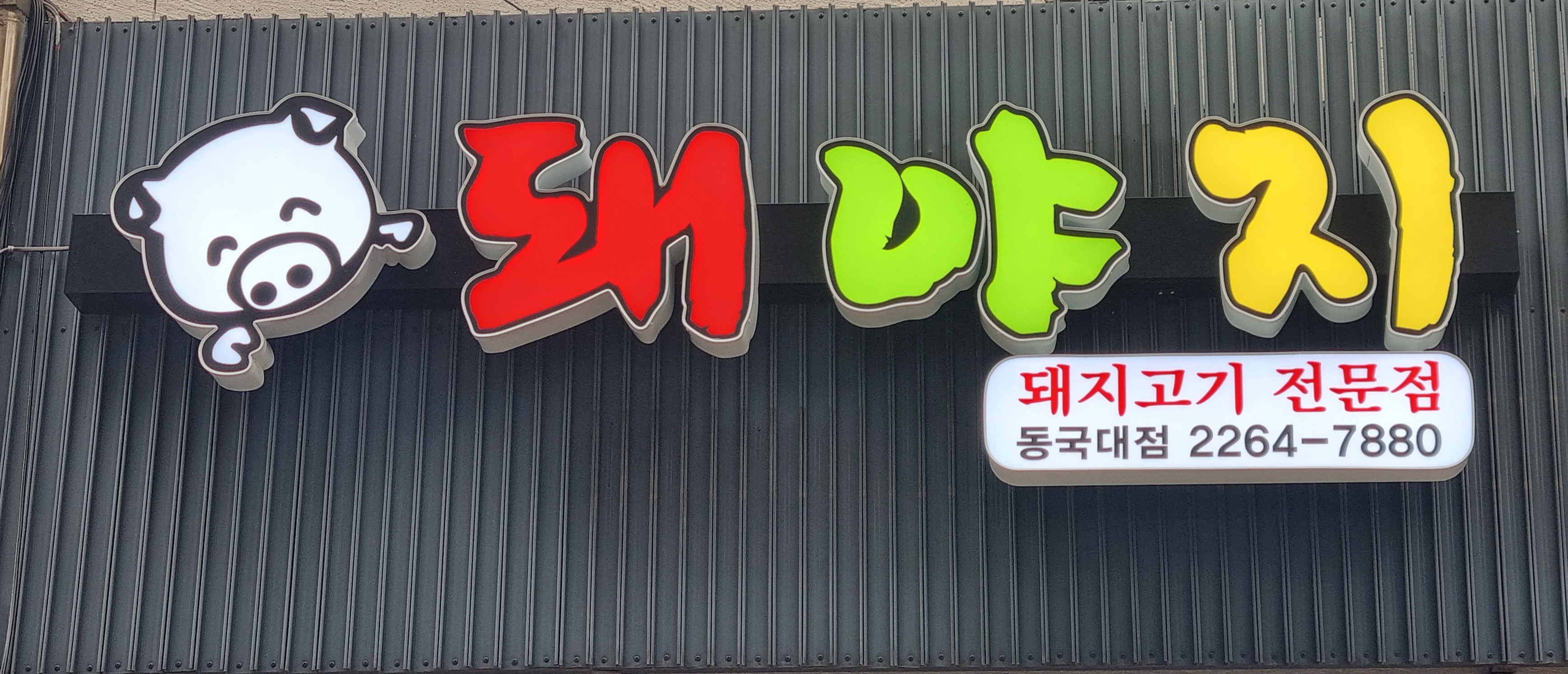 돼야지 1