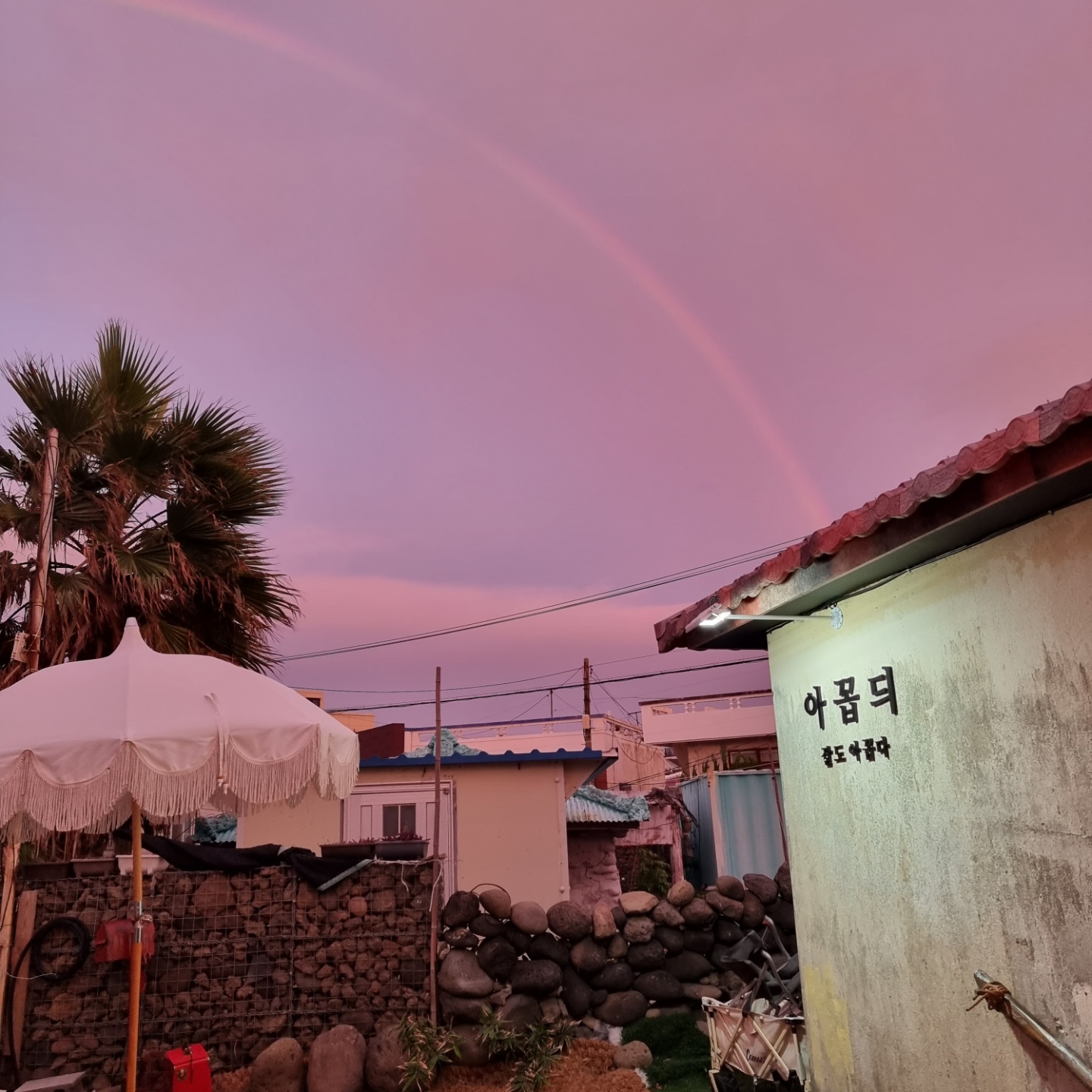 아꼽듸 사진 2