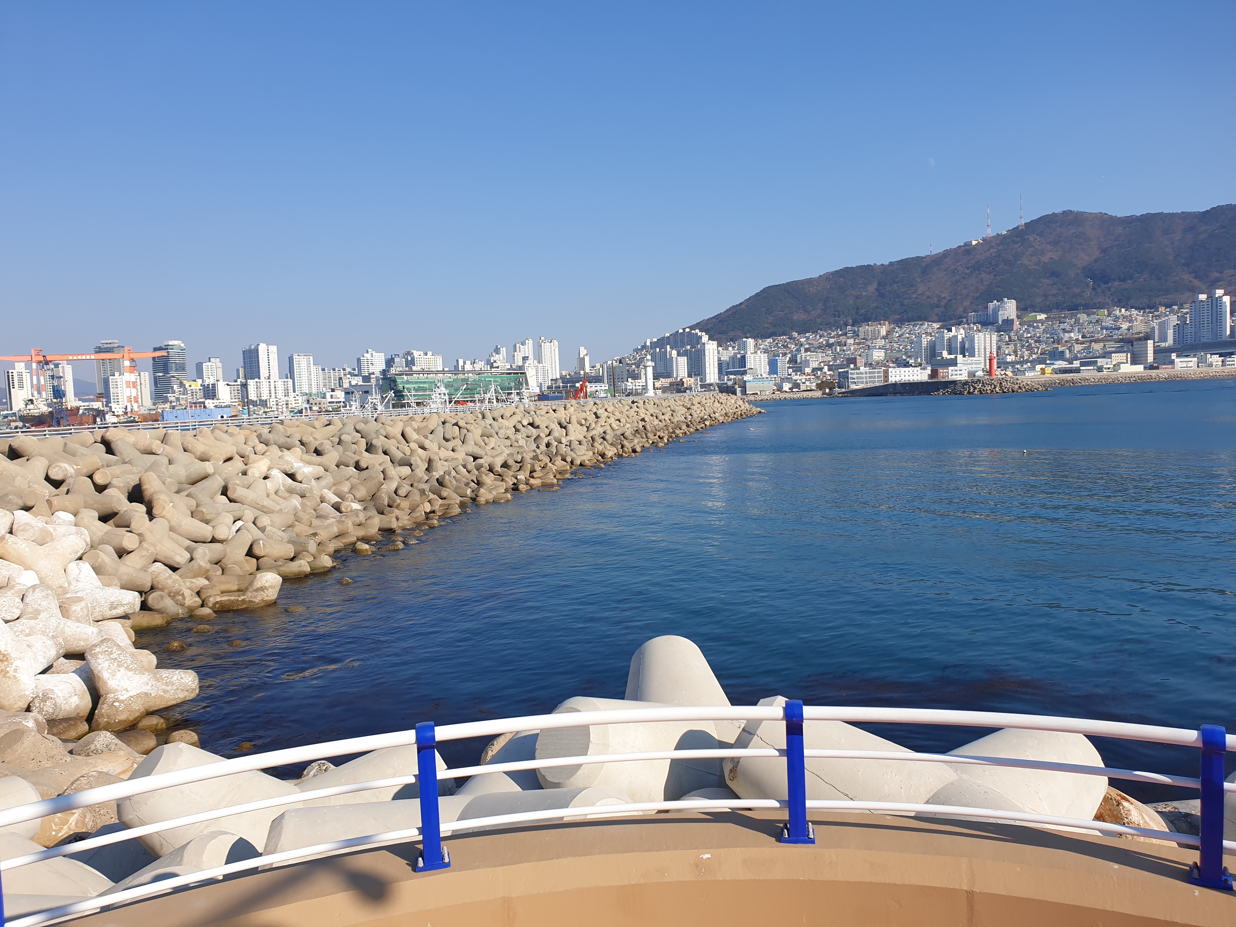 선창횟집 사진 7