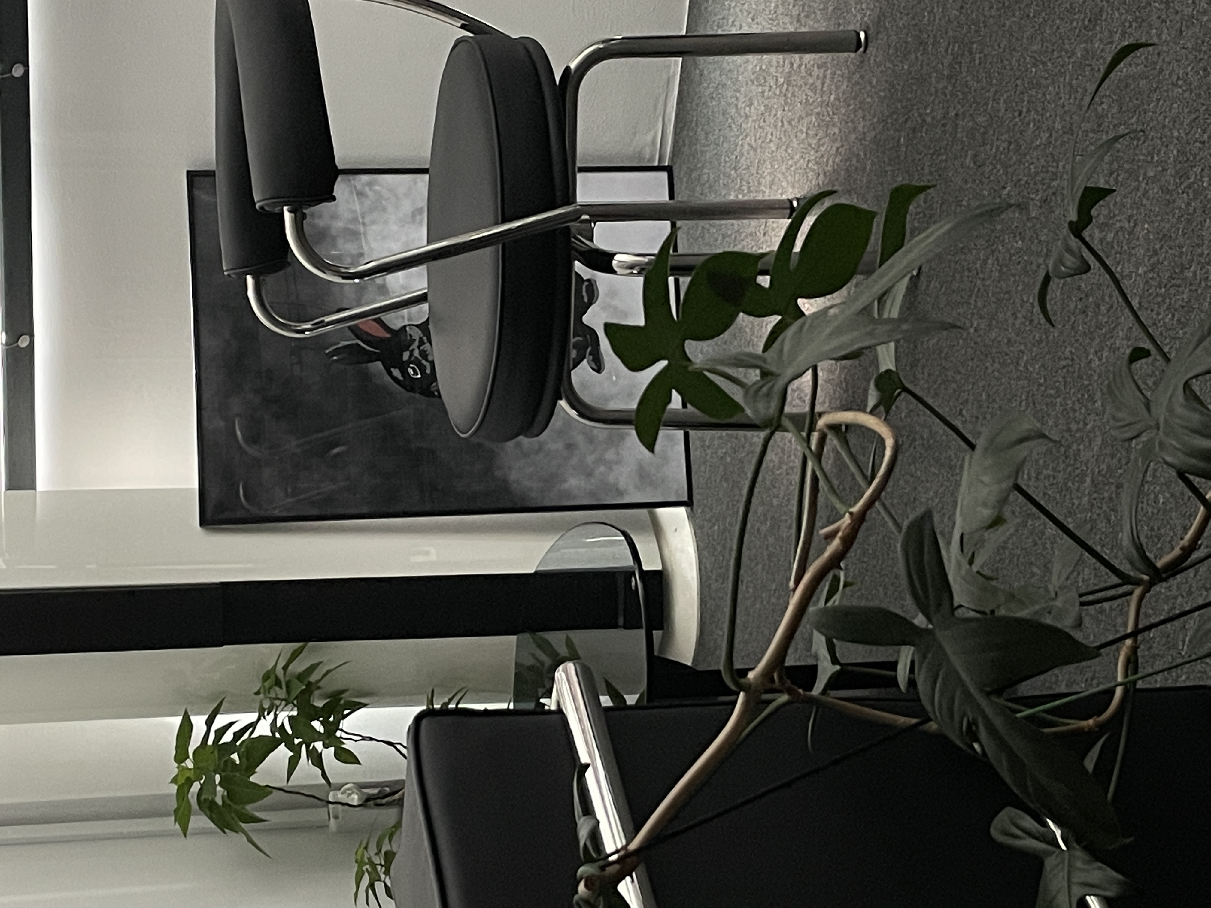 KKI 사진 5