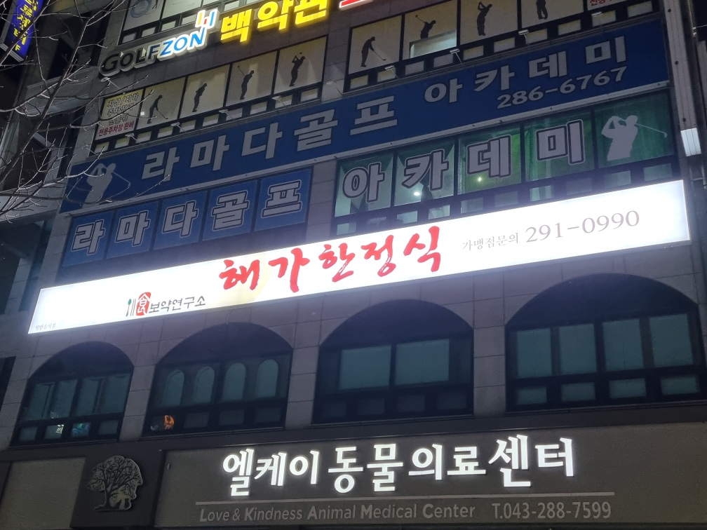 Haegahanjeongsik 1