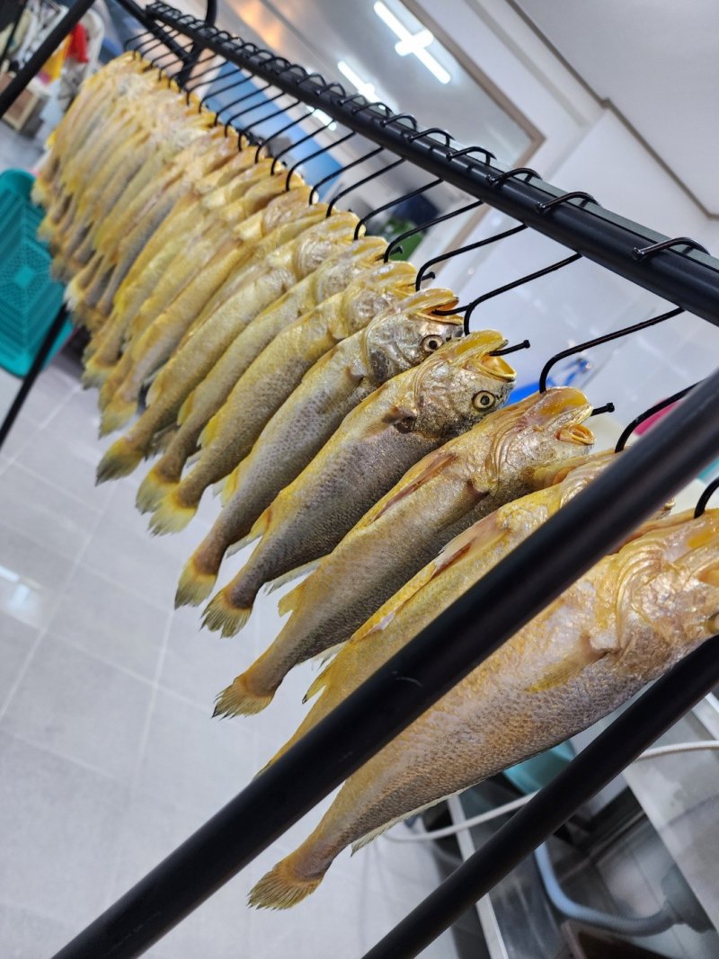 바다의왕자 사진 4