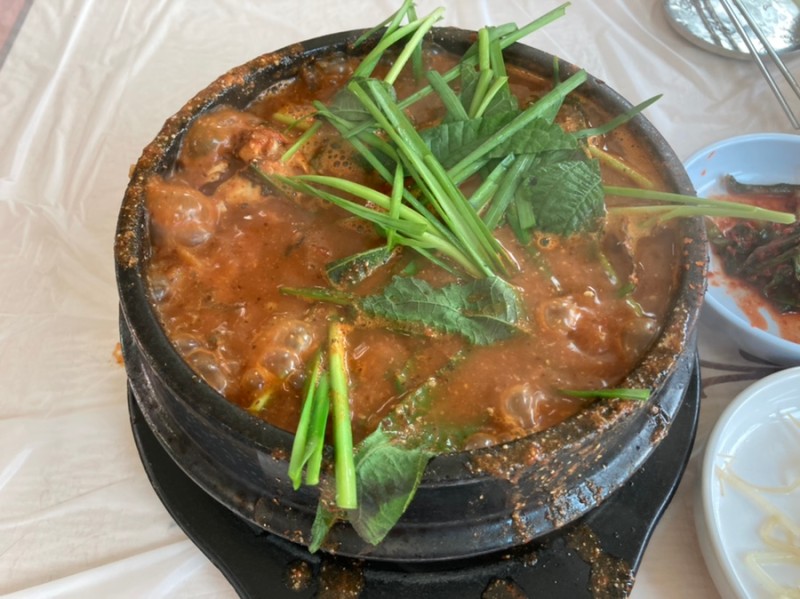 Hyanggasanjang (향가산장) 3