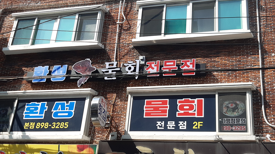 환성물회 사진 2