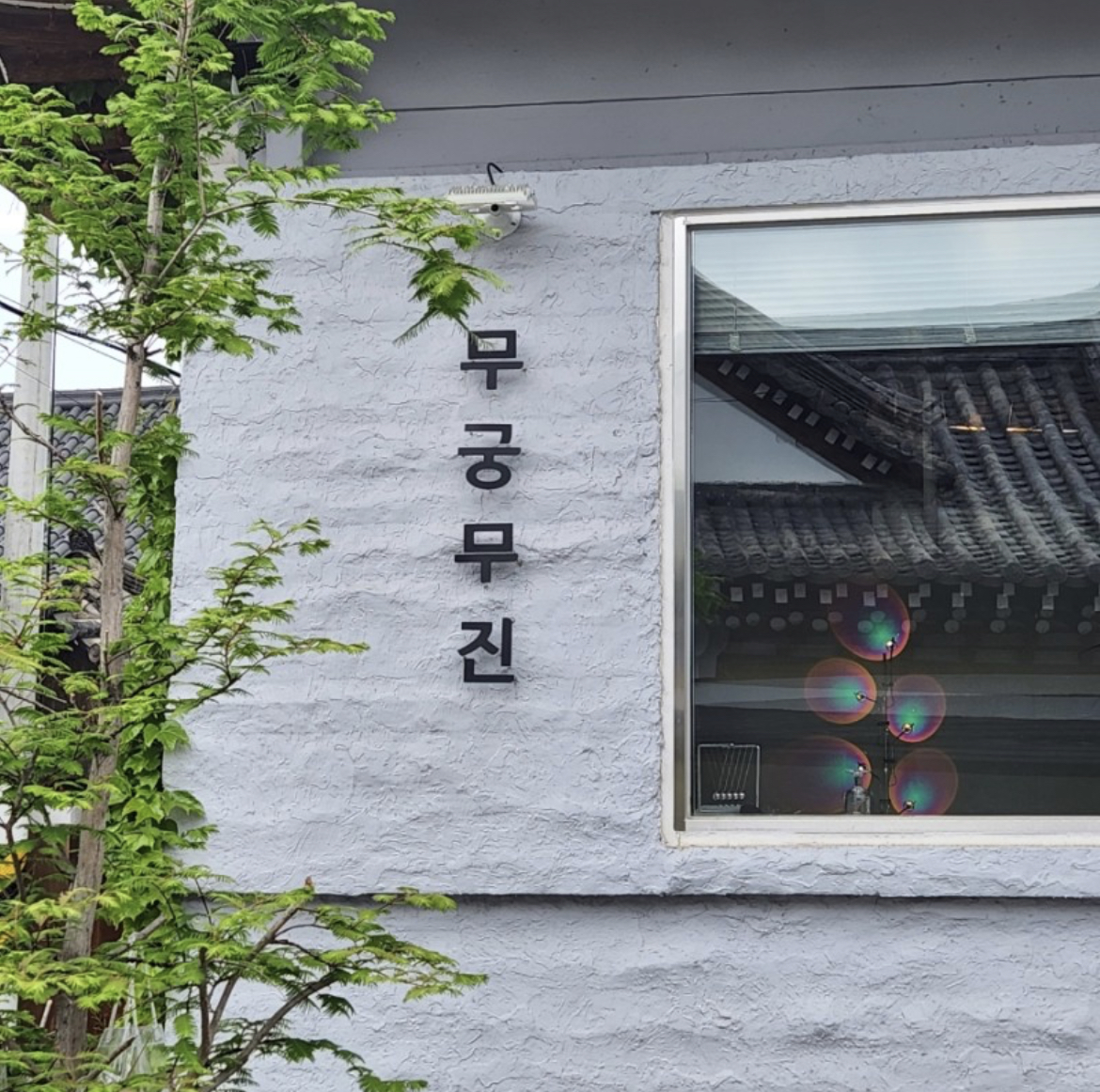무궁무진 사진 2