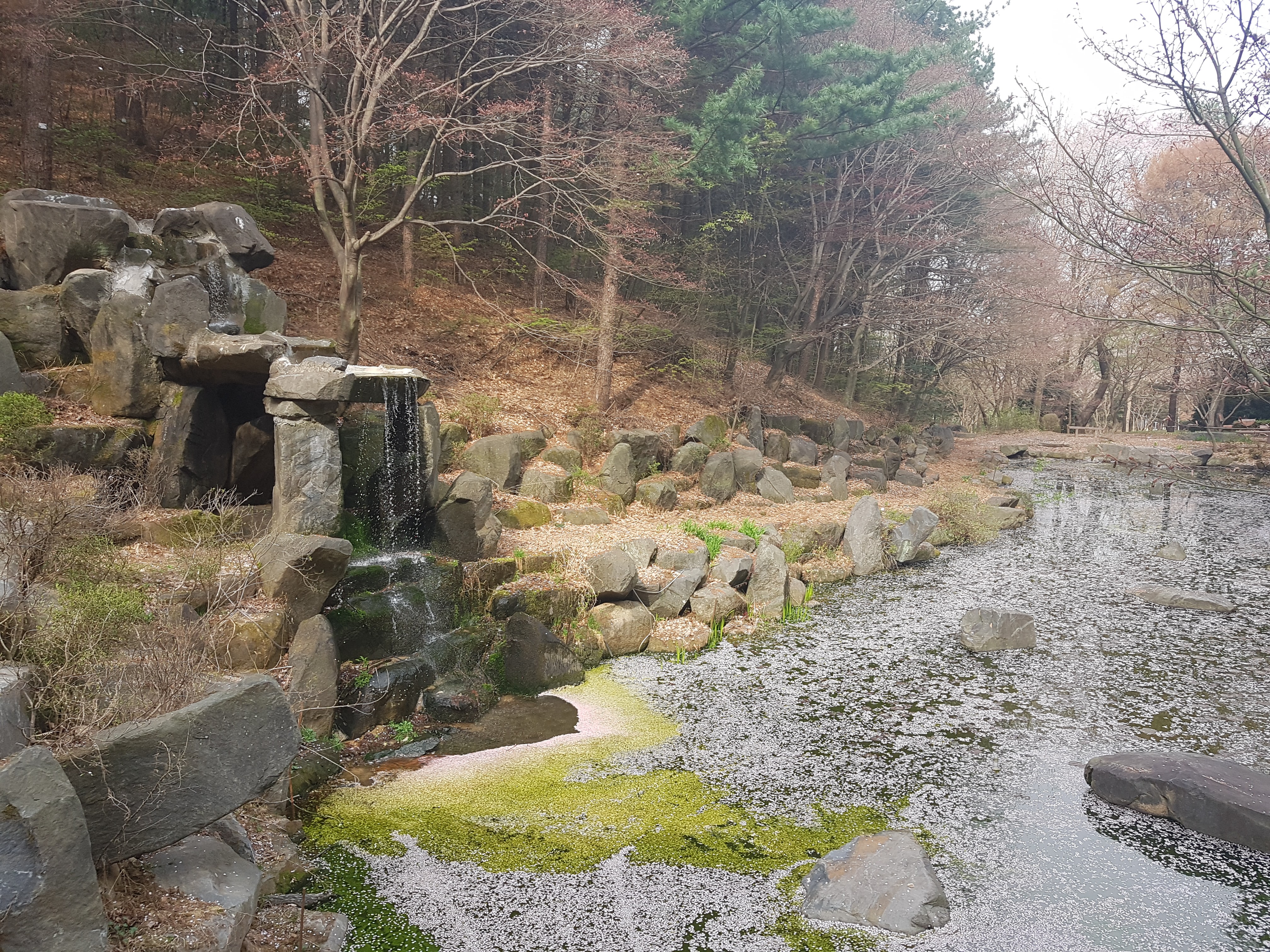 Gohyangsanjang (고향산장) 2