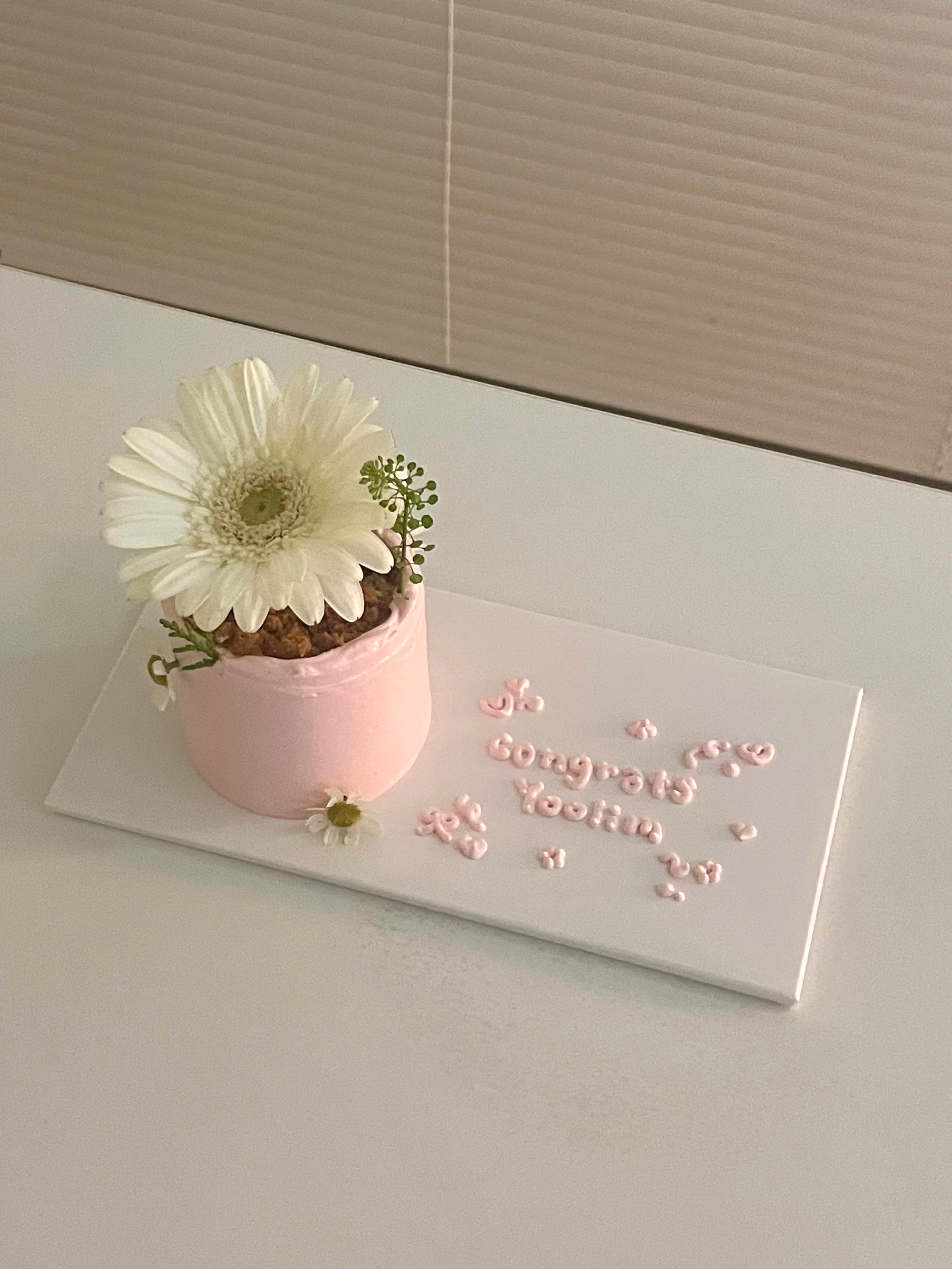 코시 사진 6