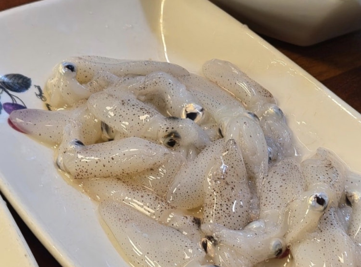 해미리 사진 8