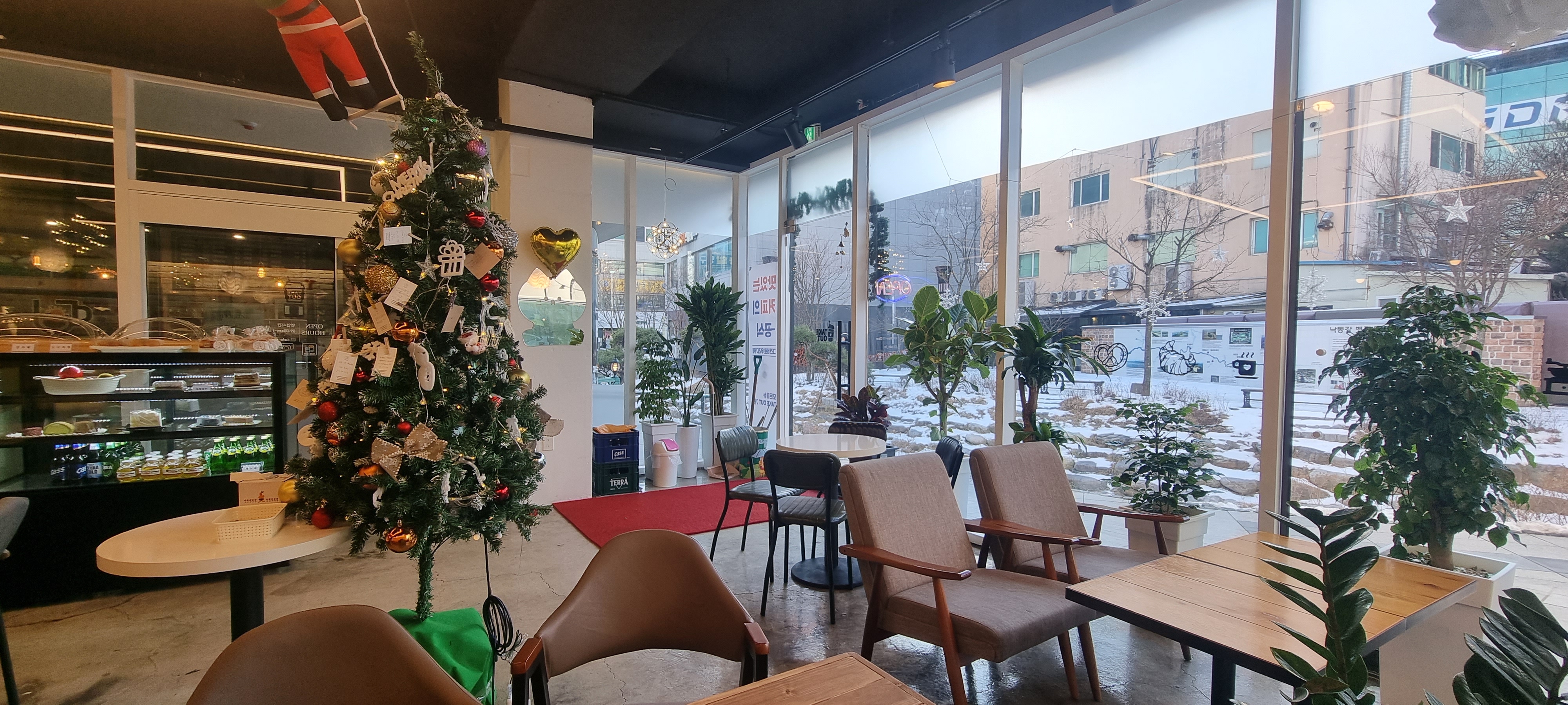 카페인 4