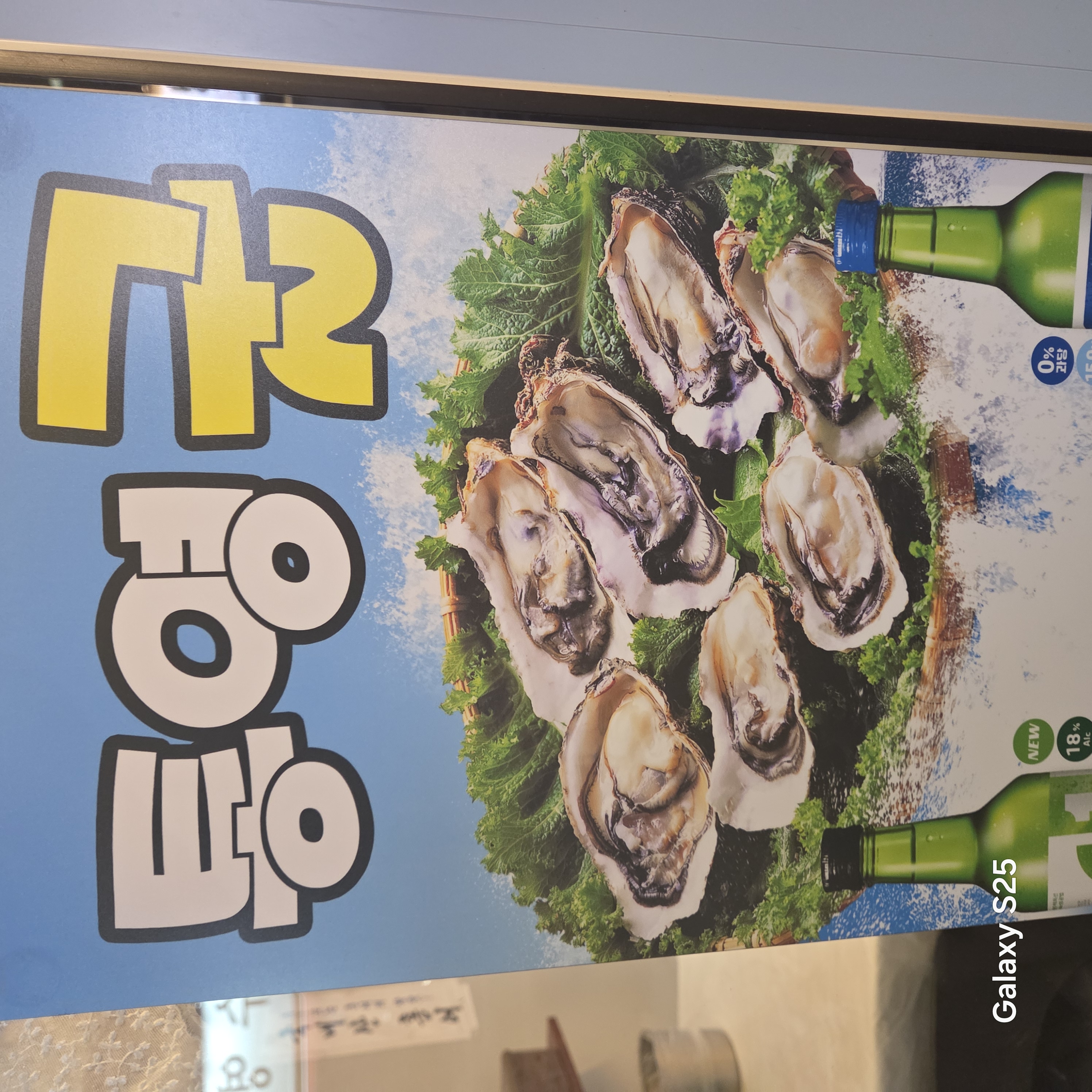 수연카세 사진 4