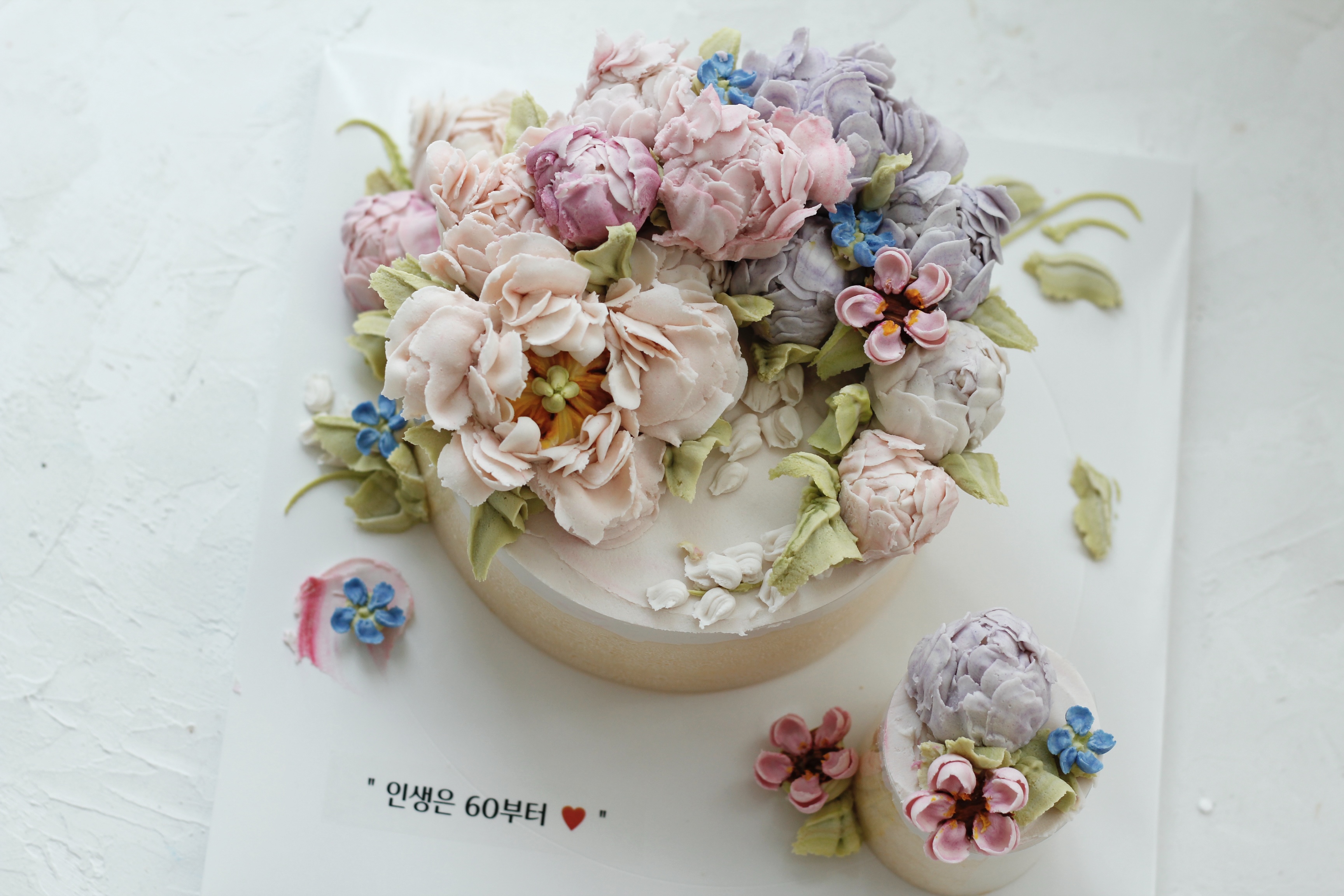 하미 사진 8