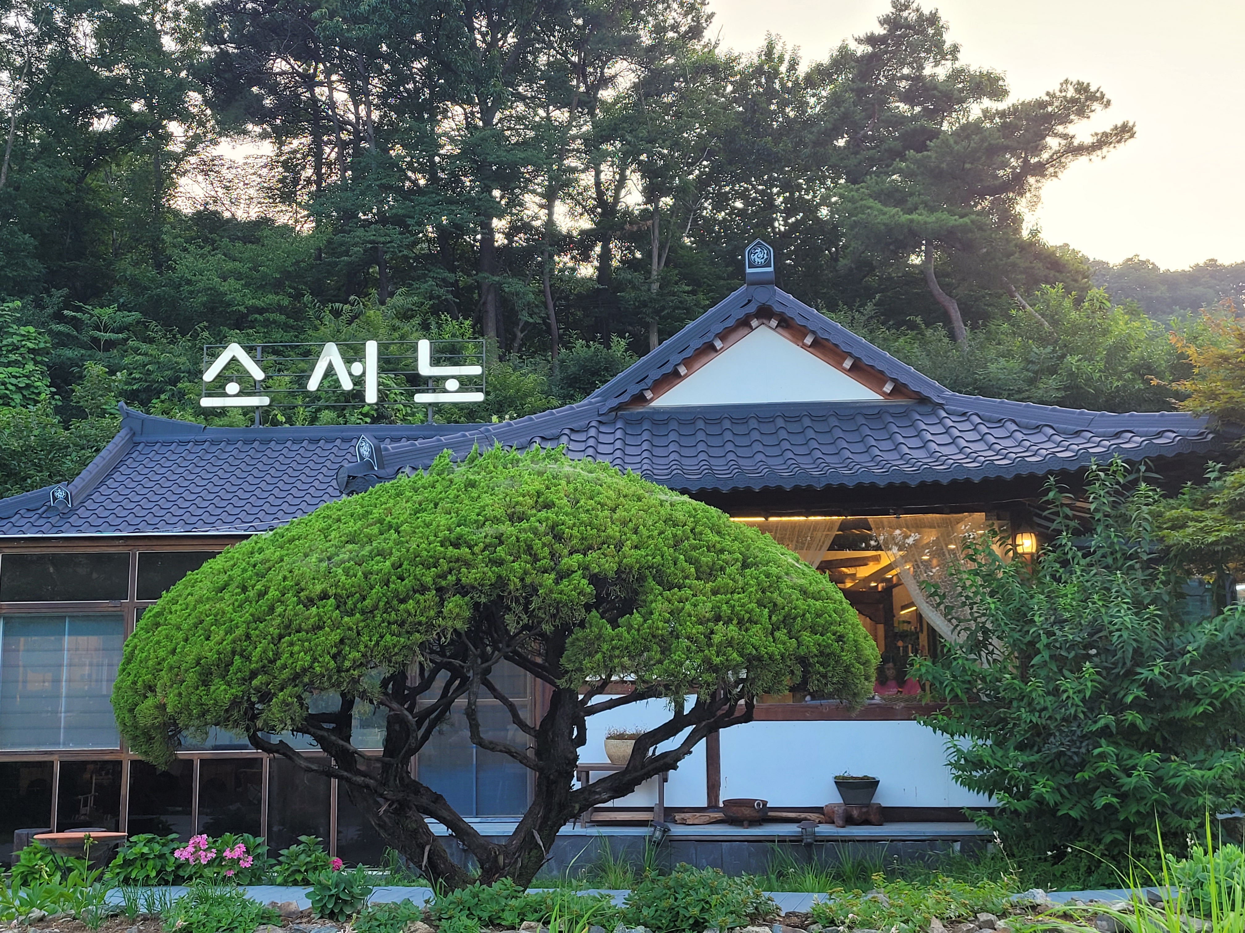 Dasomchabansoseono (다솜차반소서노) 3