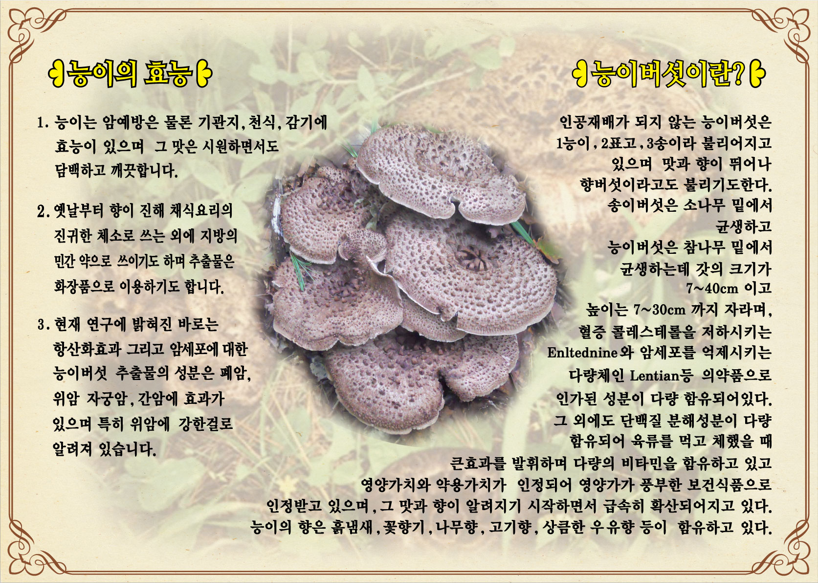 Je1neungibeoseotsaengguksu 4