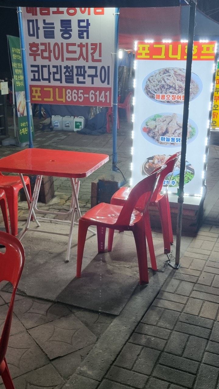 포그니 사진 3